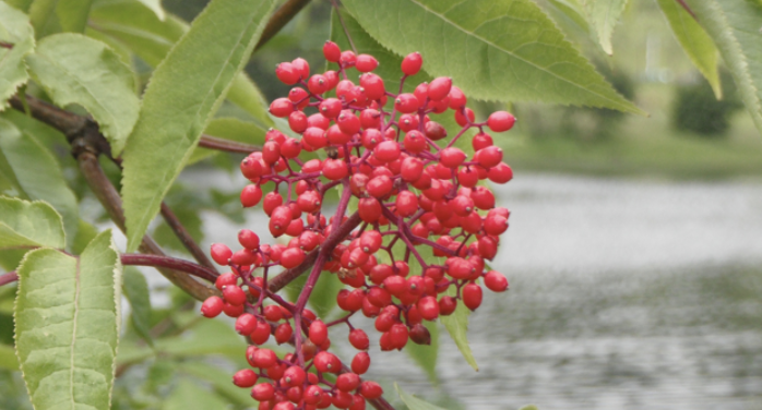 Screenshot 2023-09-05 at 10.57.29 AM.png