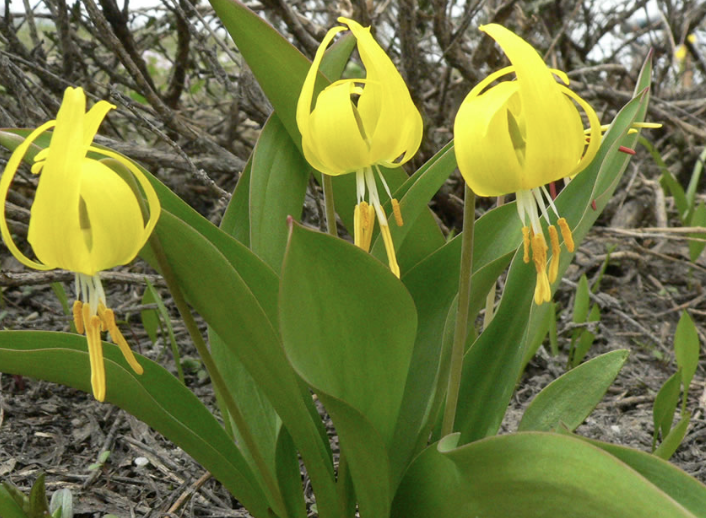 Screenshot 2023-09-05 at 11.24.13 AM.png