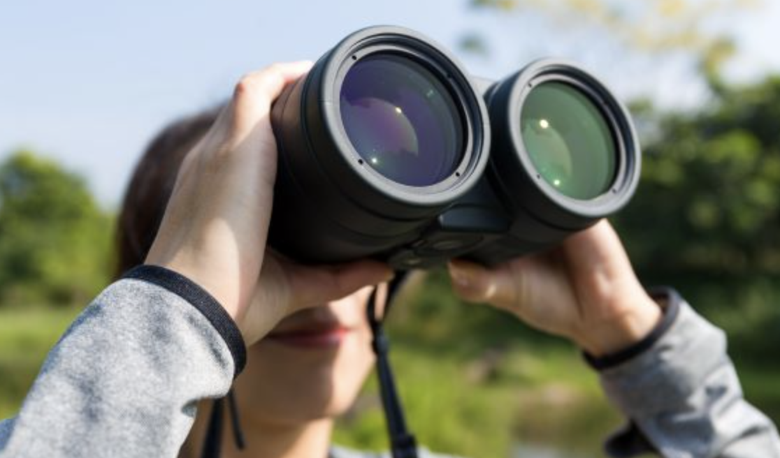 Screenshot 2023-09-05 at 1.28.51 PM.png