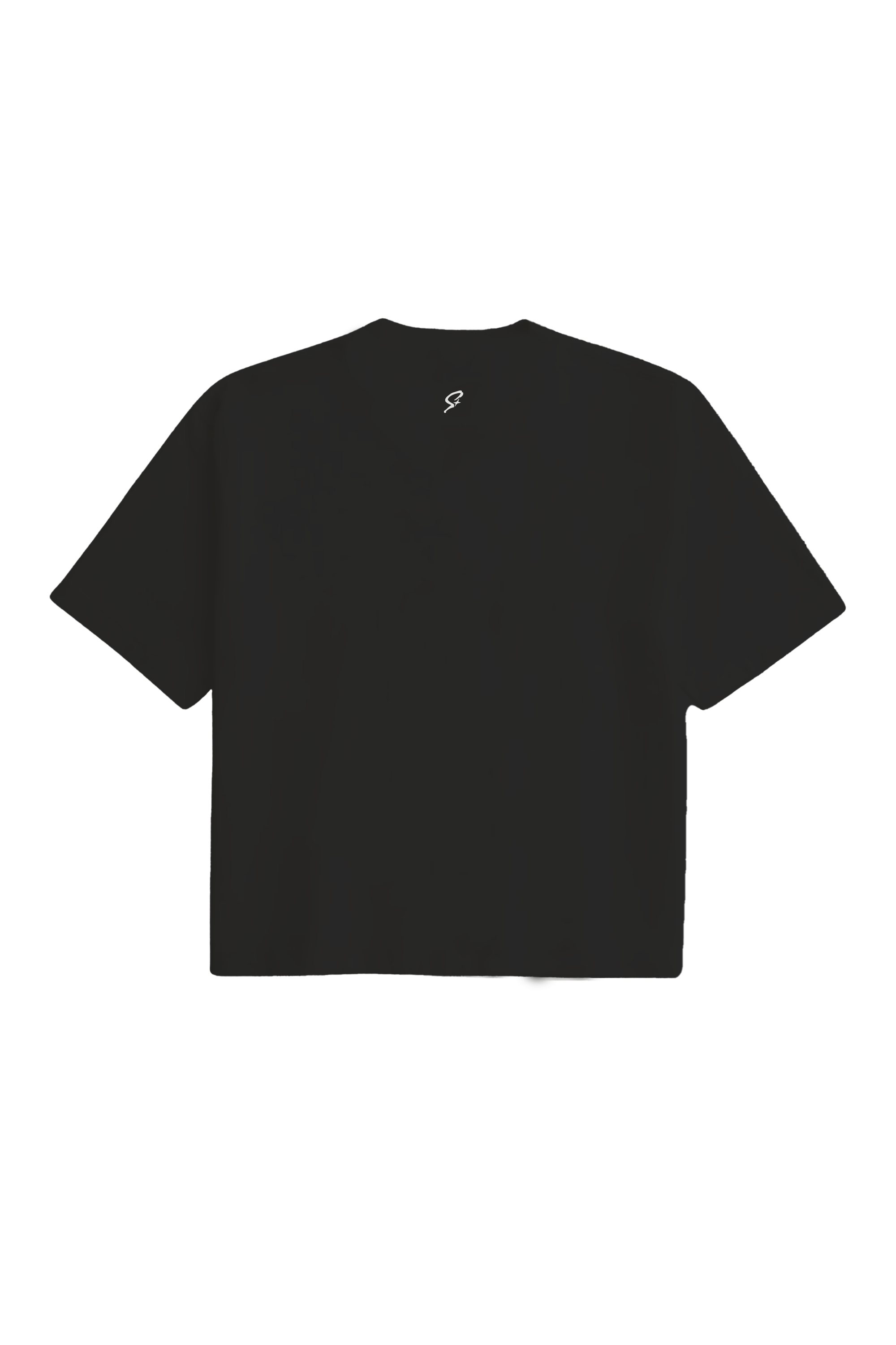 shirtmockupblackback.png