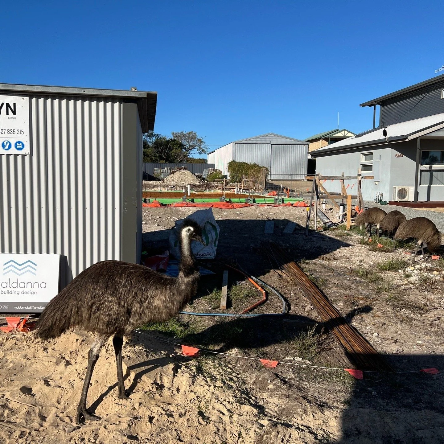 We have been very slack on the updates this year, but trust me there has been lots going on behind the scenes all over the Eyre Peninsula!! 
#buildingdesign #eyrepeninsula #portlincoln #coffinbay #tumbybay