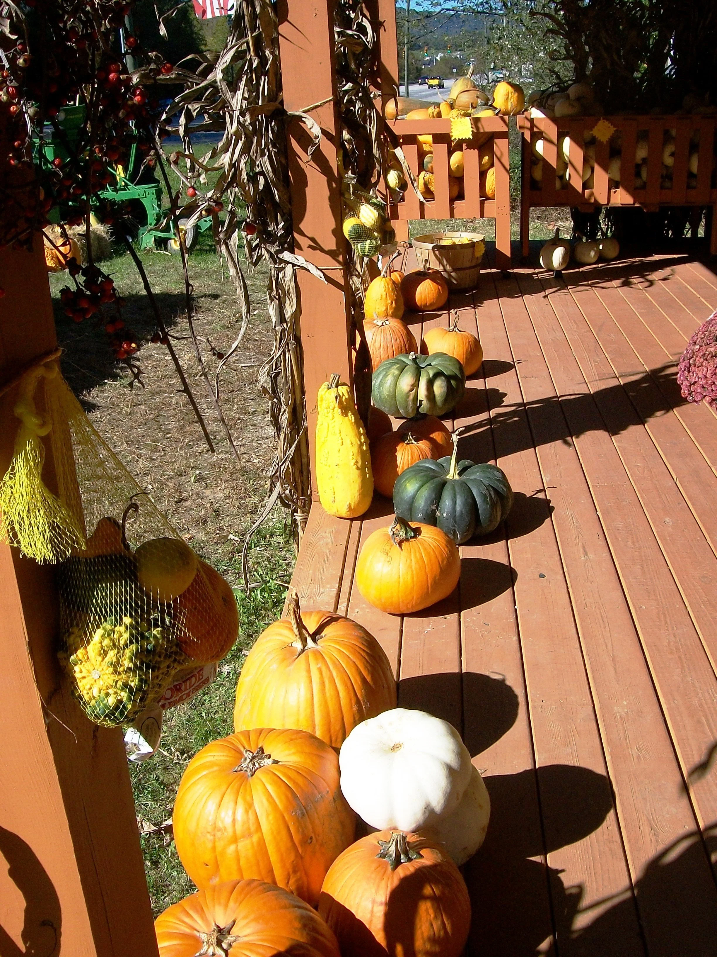 100_2260.JPG