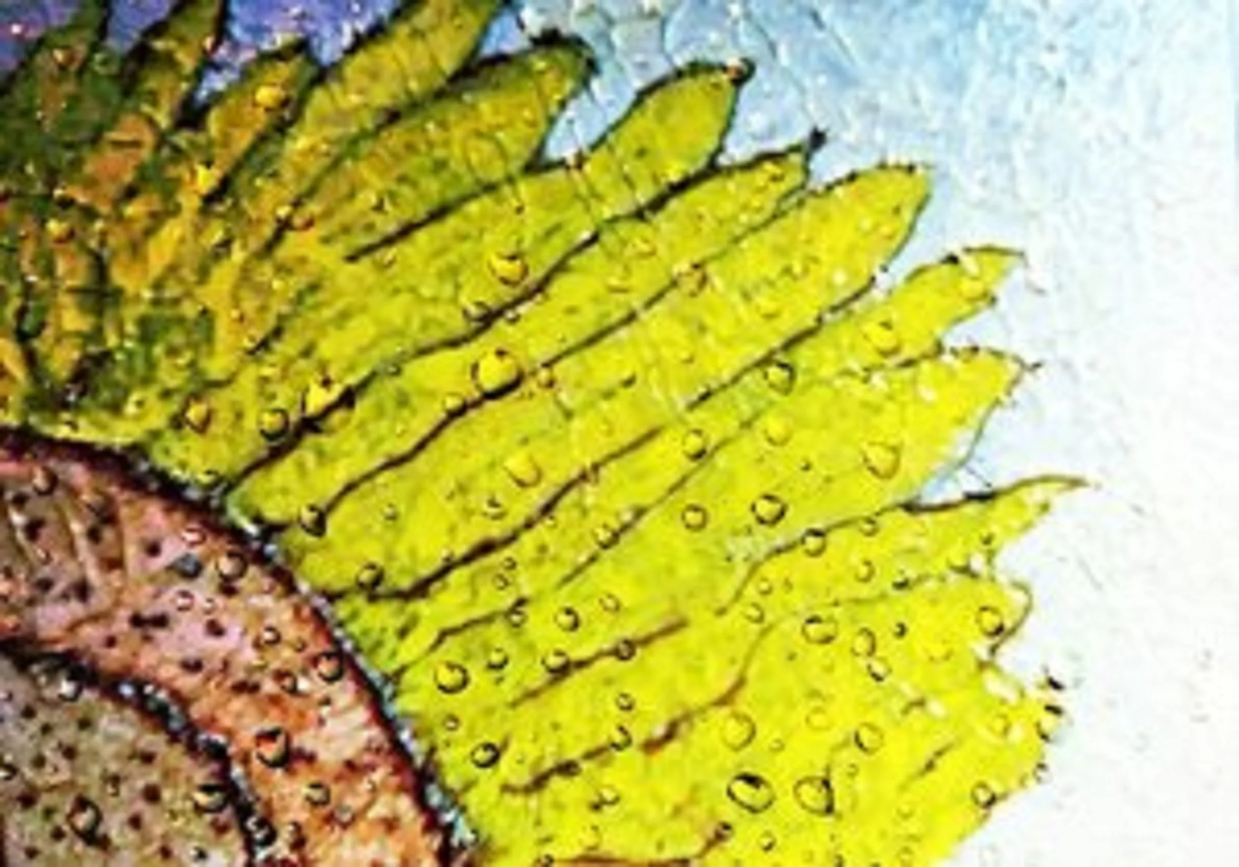 weeping sunflower.jpg
