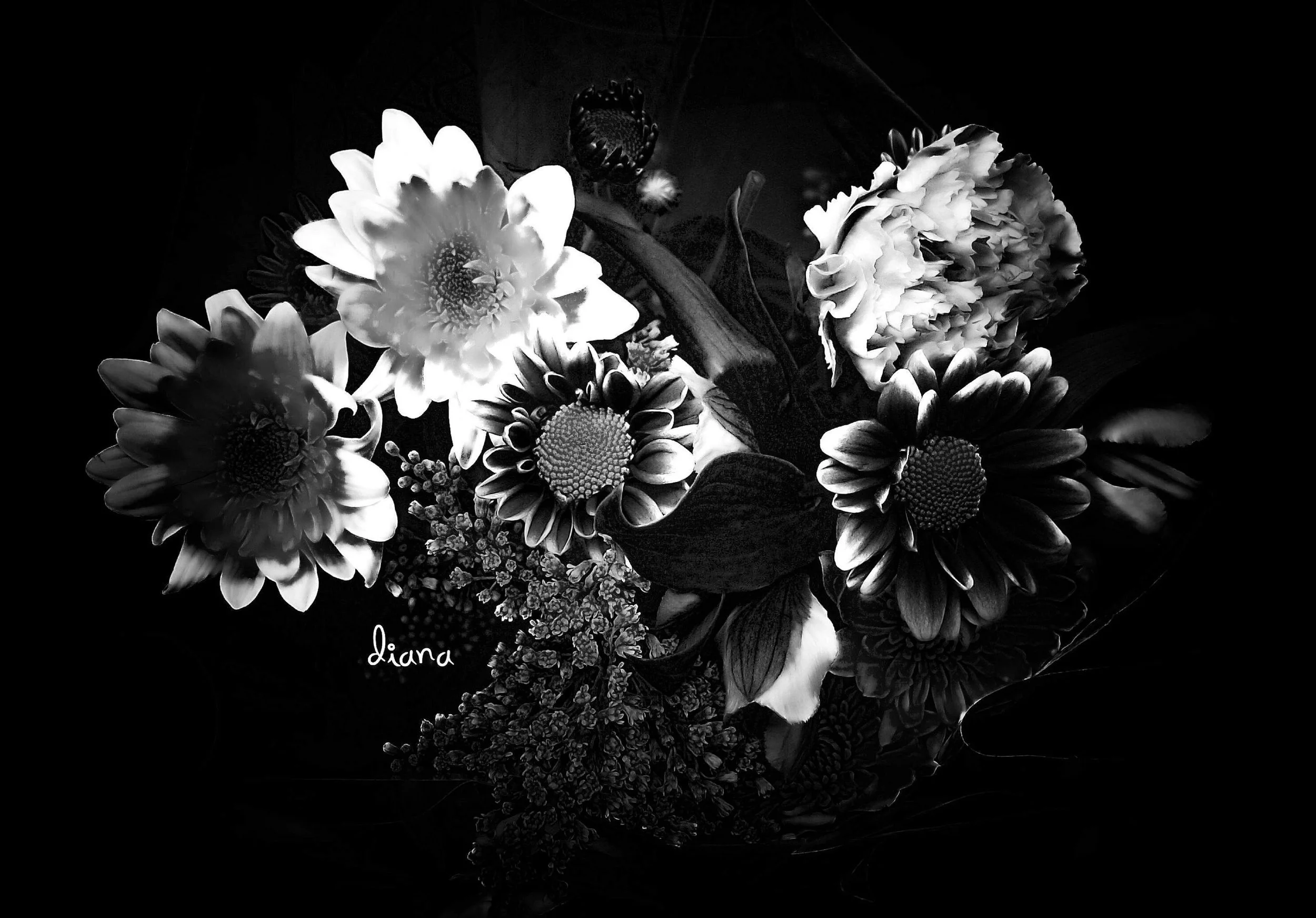 bl wh flowers.jpg