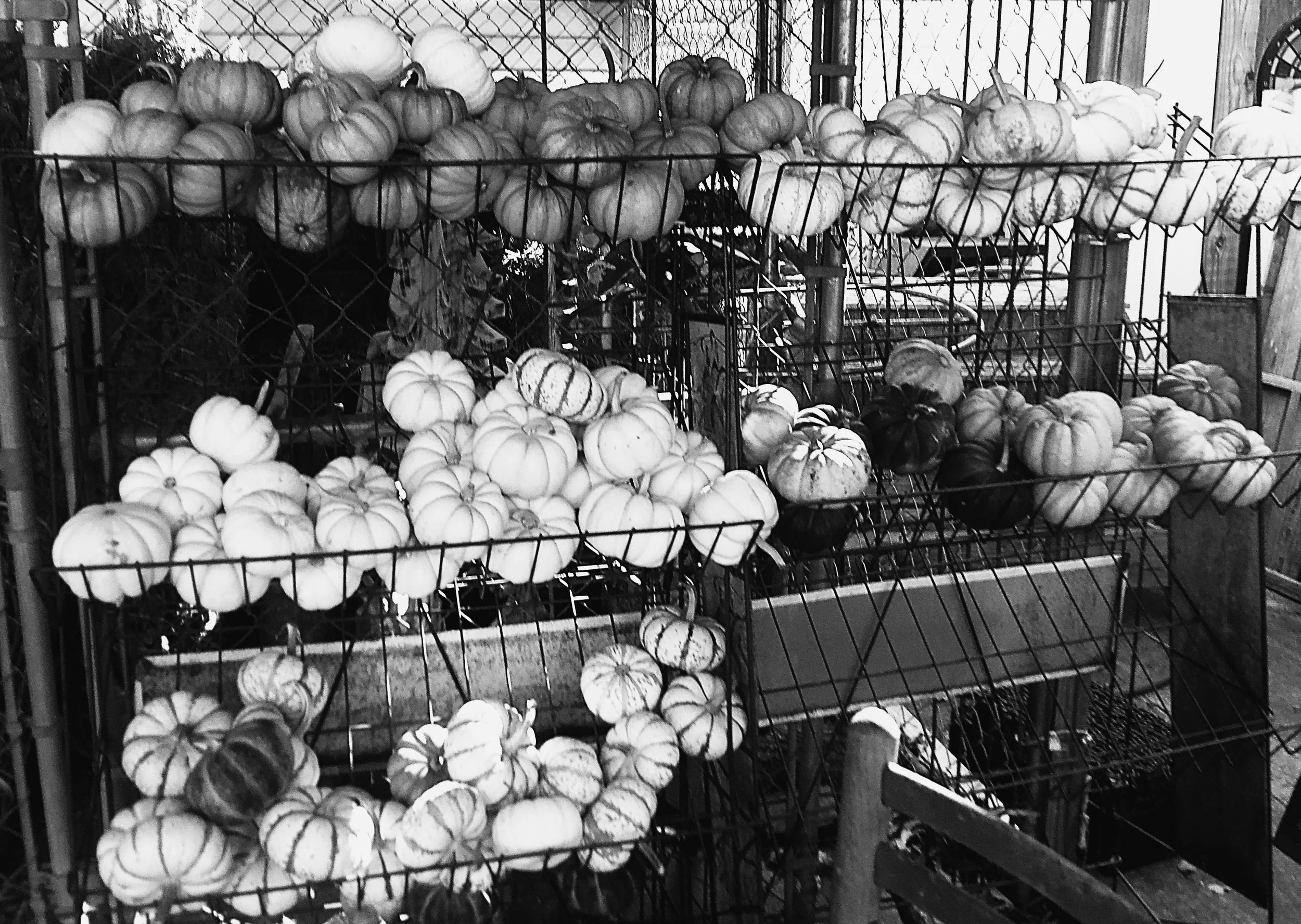 2024 roadtrip 015.JPG