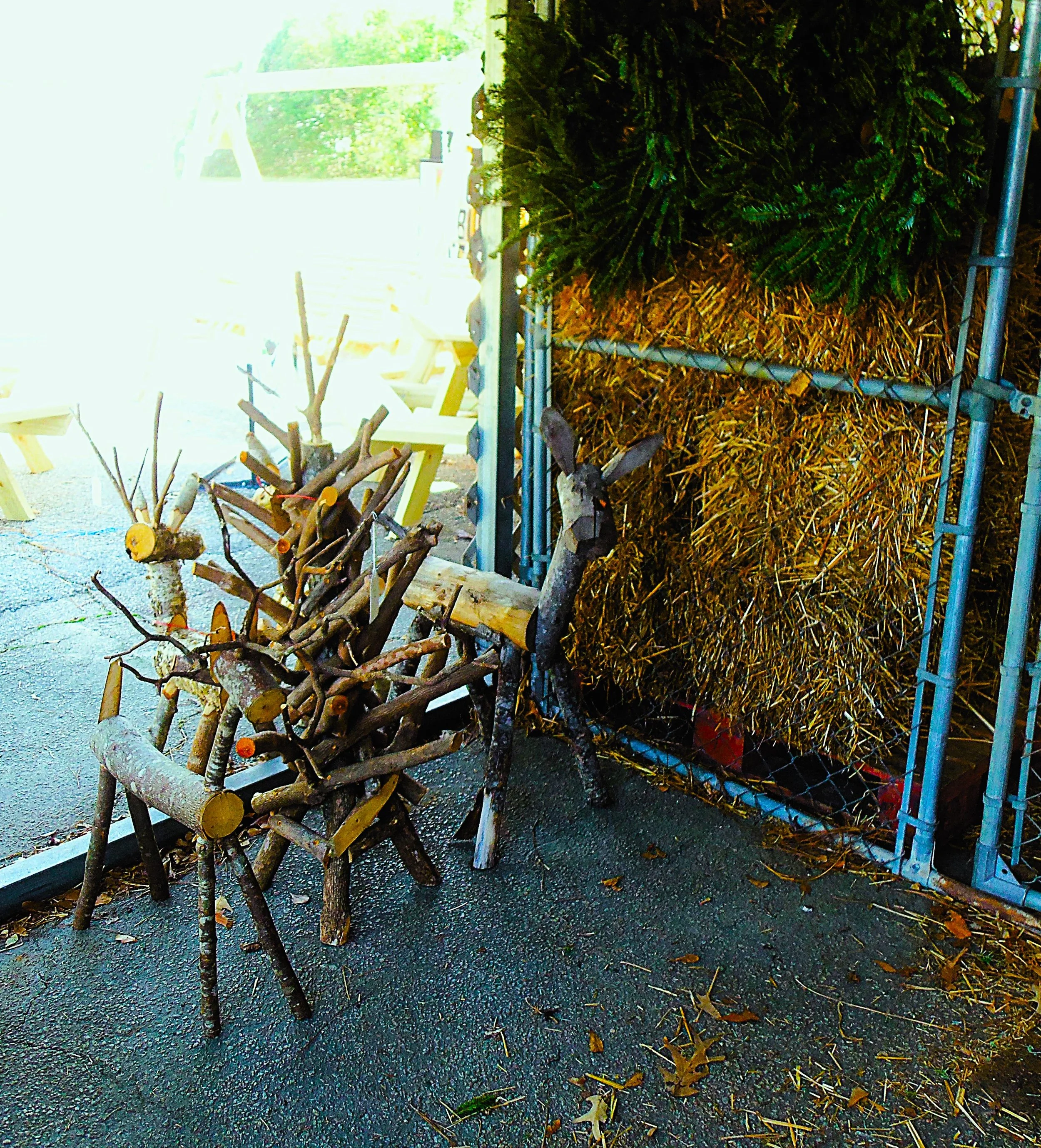 2024 roadtrip 006.JPG