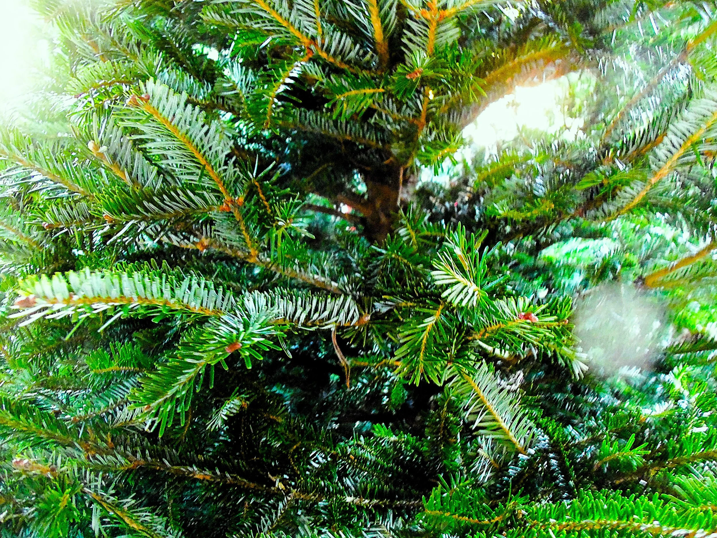 2024 roadtrip 010.JPG