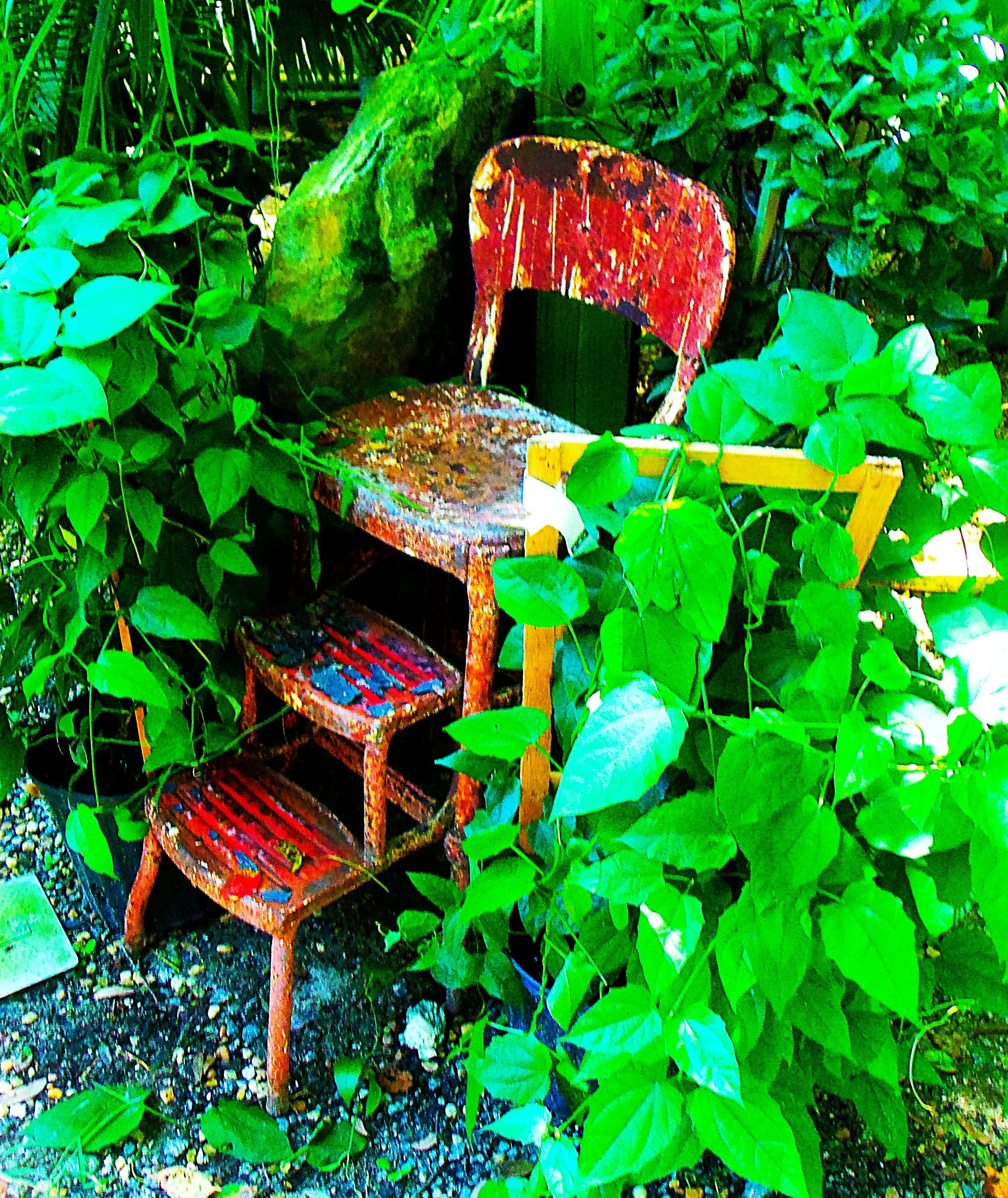 digg gardens 008.JPG