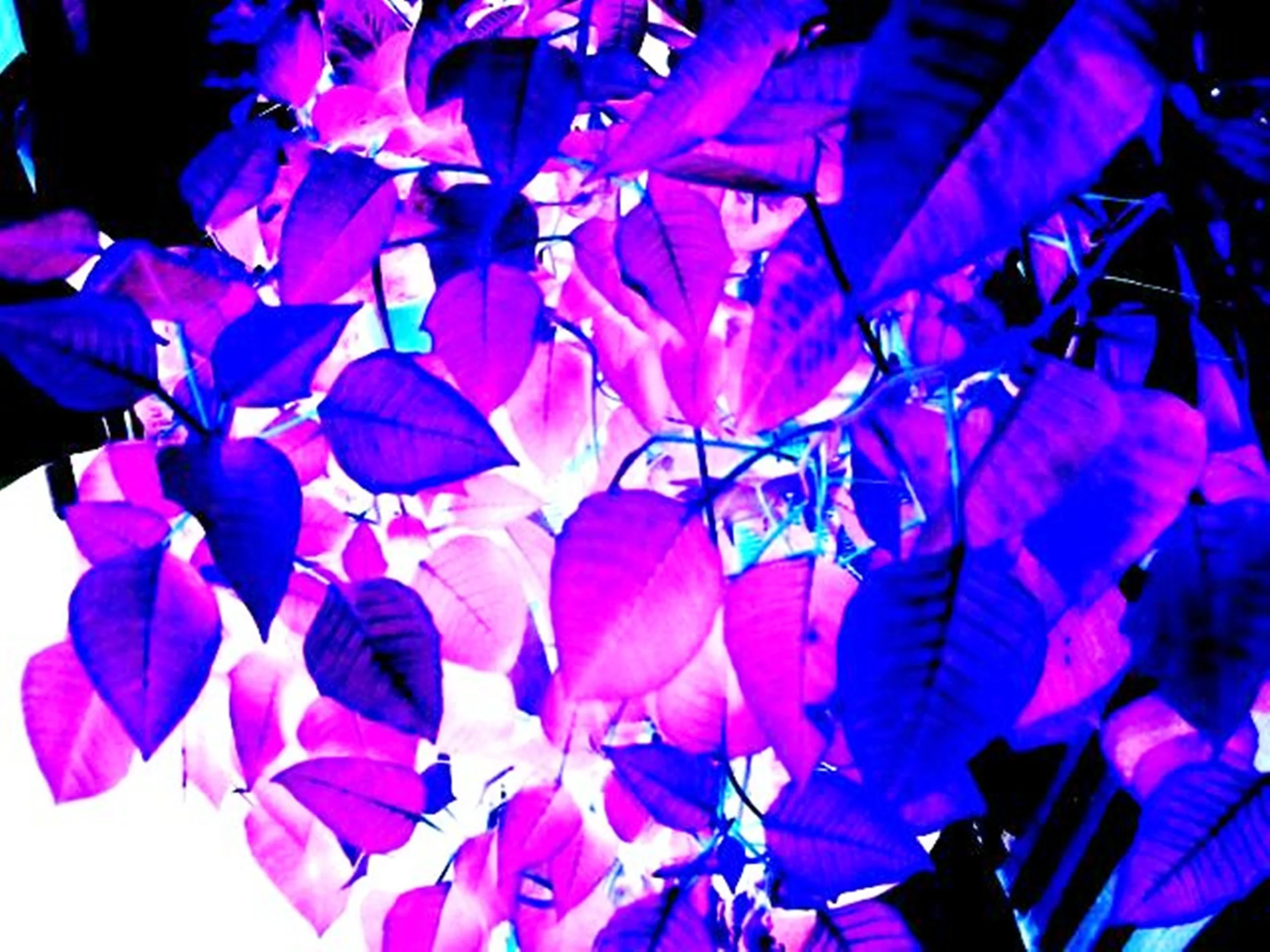 color 1.jpg