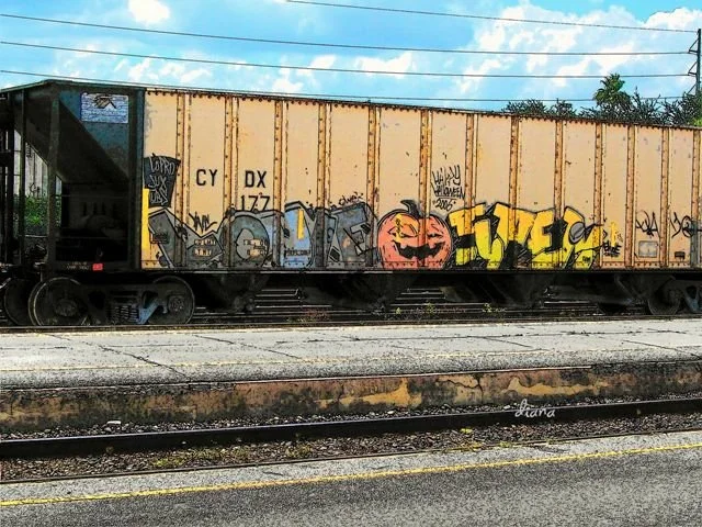 FT 11.jpg