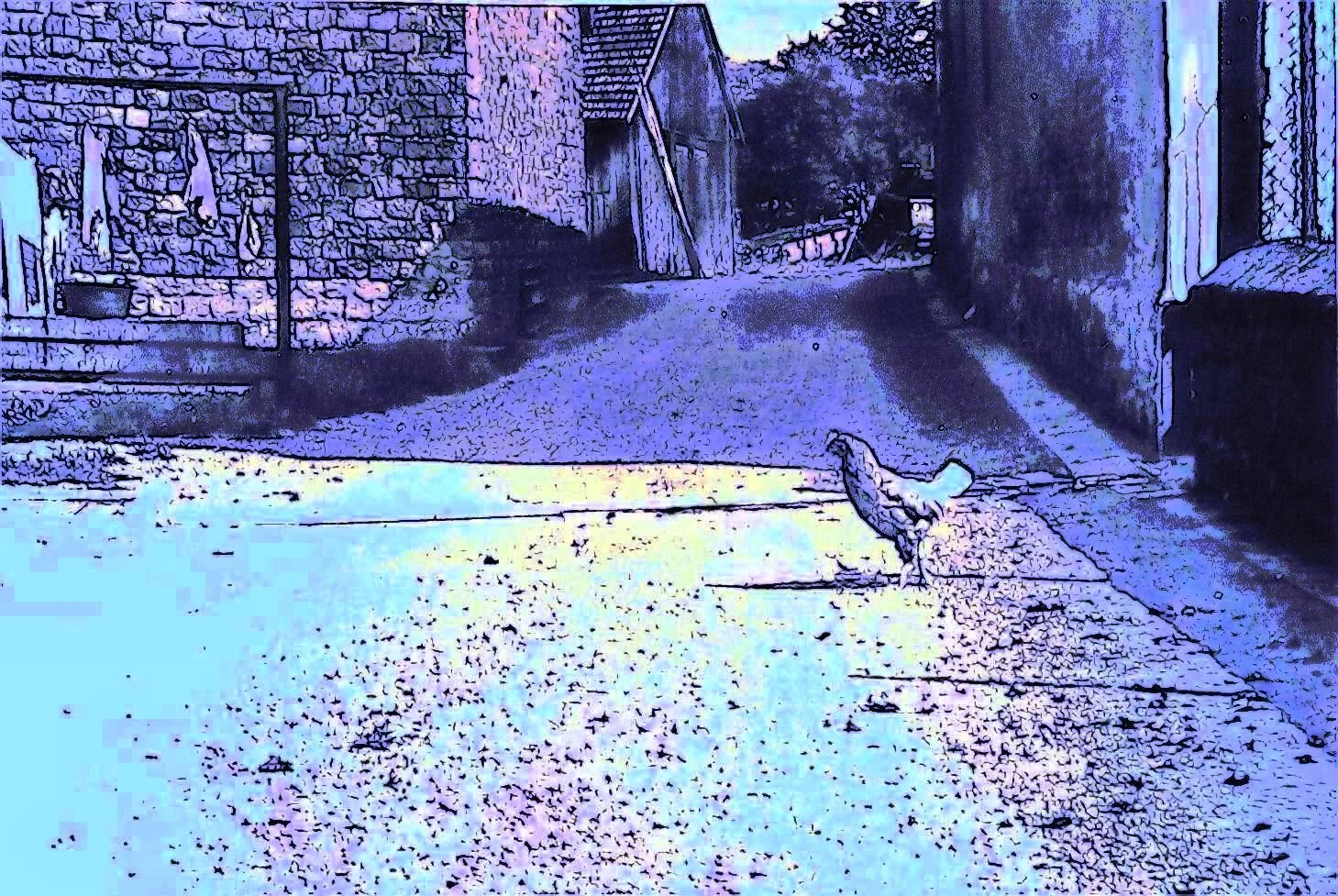 C 8.jpg
