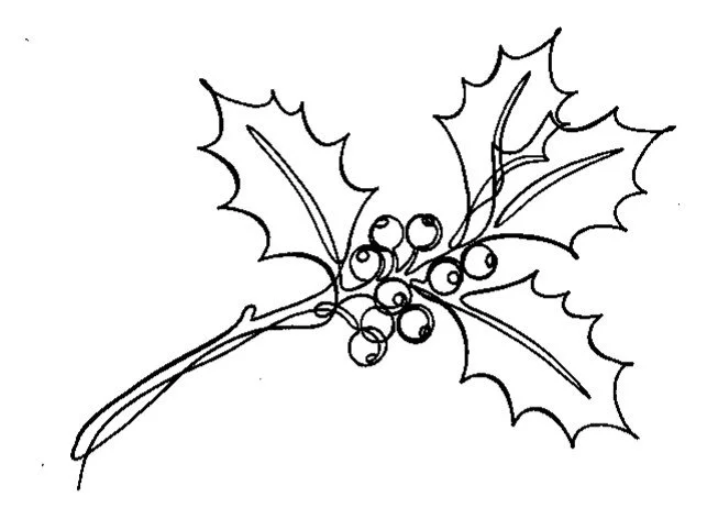 Holly Leaf.jpg