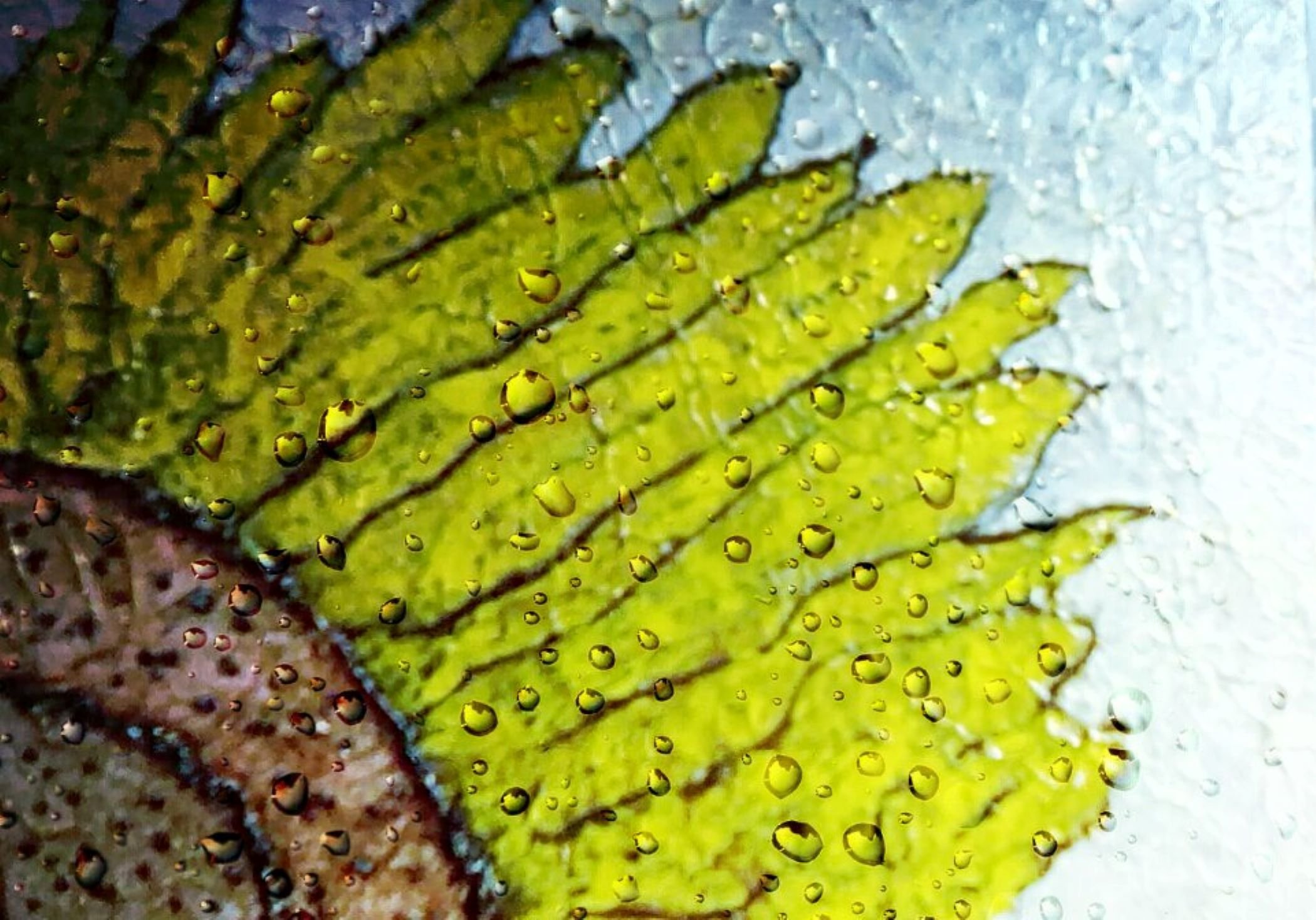 IMG_20210728_203307_kindlephoto-1491069 resized large.jpg