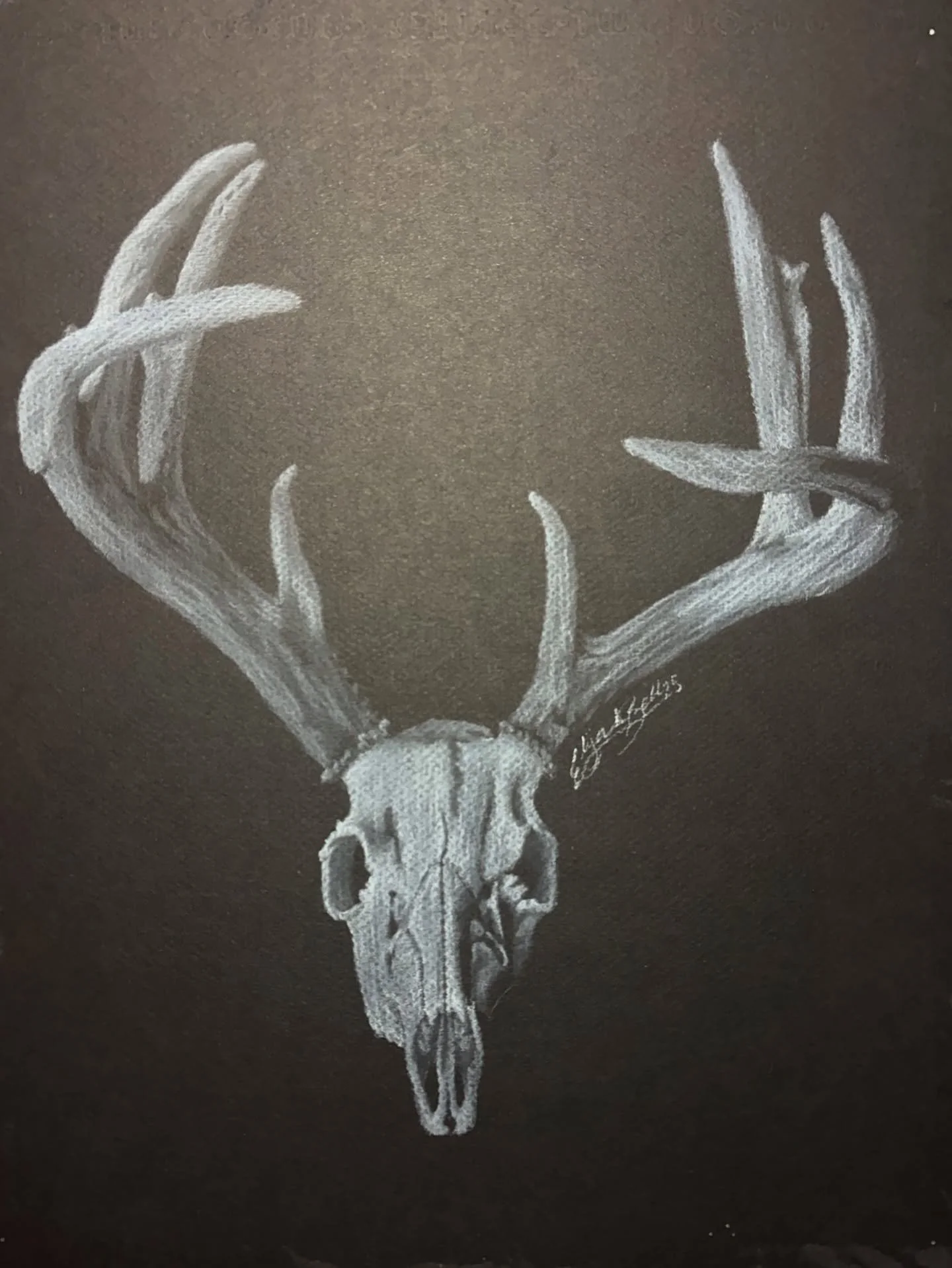 Deer Skull

Been slacking on productivity with my drawing&rsquo;s and paintings but i&rsquo;ve been slowly pushing myself back into it.

#art #artist #artwork #darkaesthetic #aesthetic #skulls #deerskull #deerart #skullart #gothicaesthetic #dark #dar