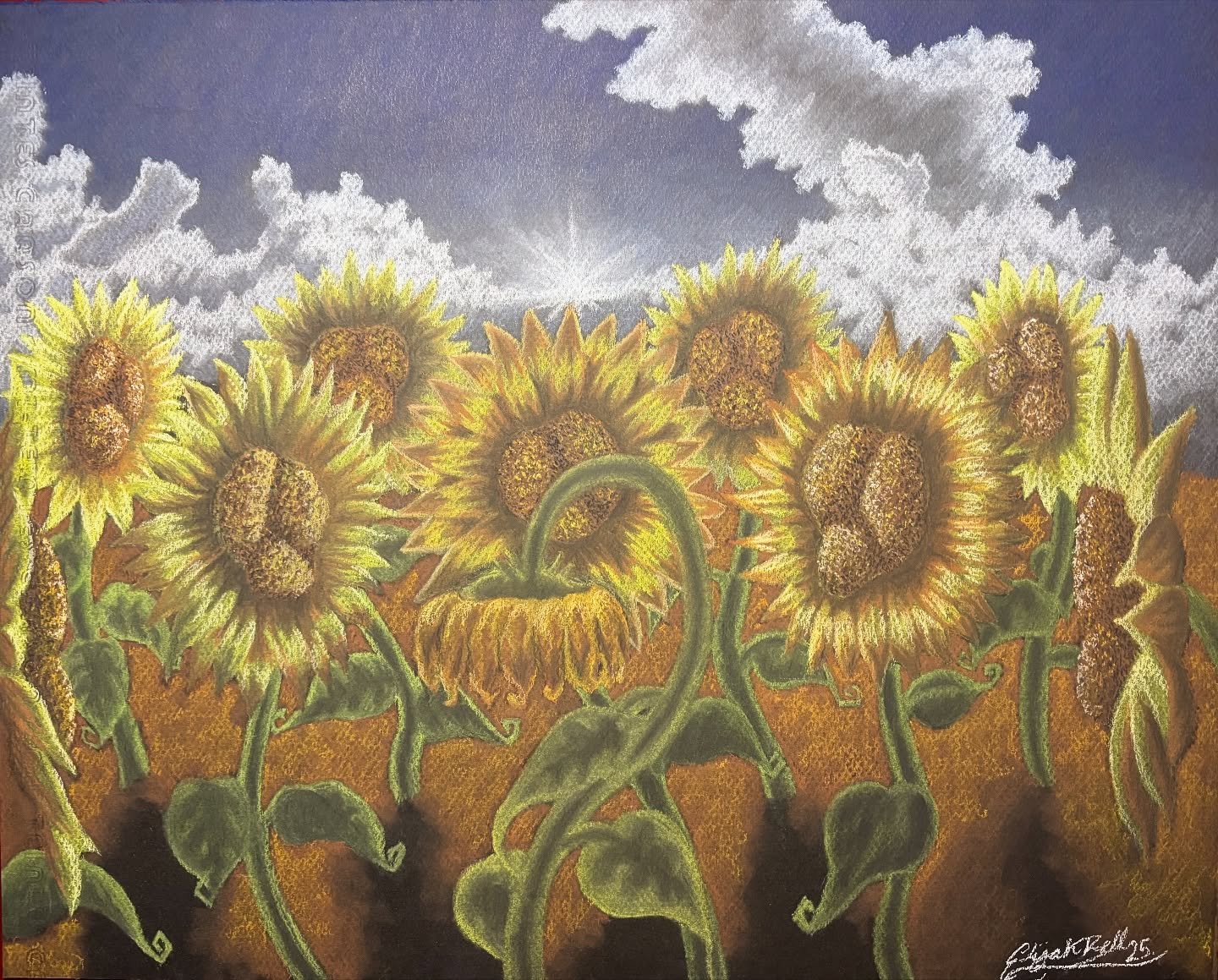 &ldquo;Forsaken Sun&rdquo; 12.5&rdquo;x16&rdquo;
Pitt pastel on black paper

Been in a block for the past month, but finally came up with some ideas for pieces. Really enjoyed the process of this piece, when i came up with the sketch i wasn&rsquo;t s