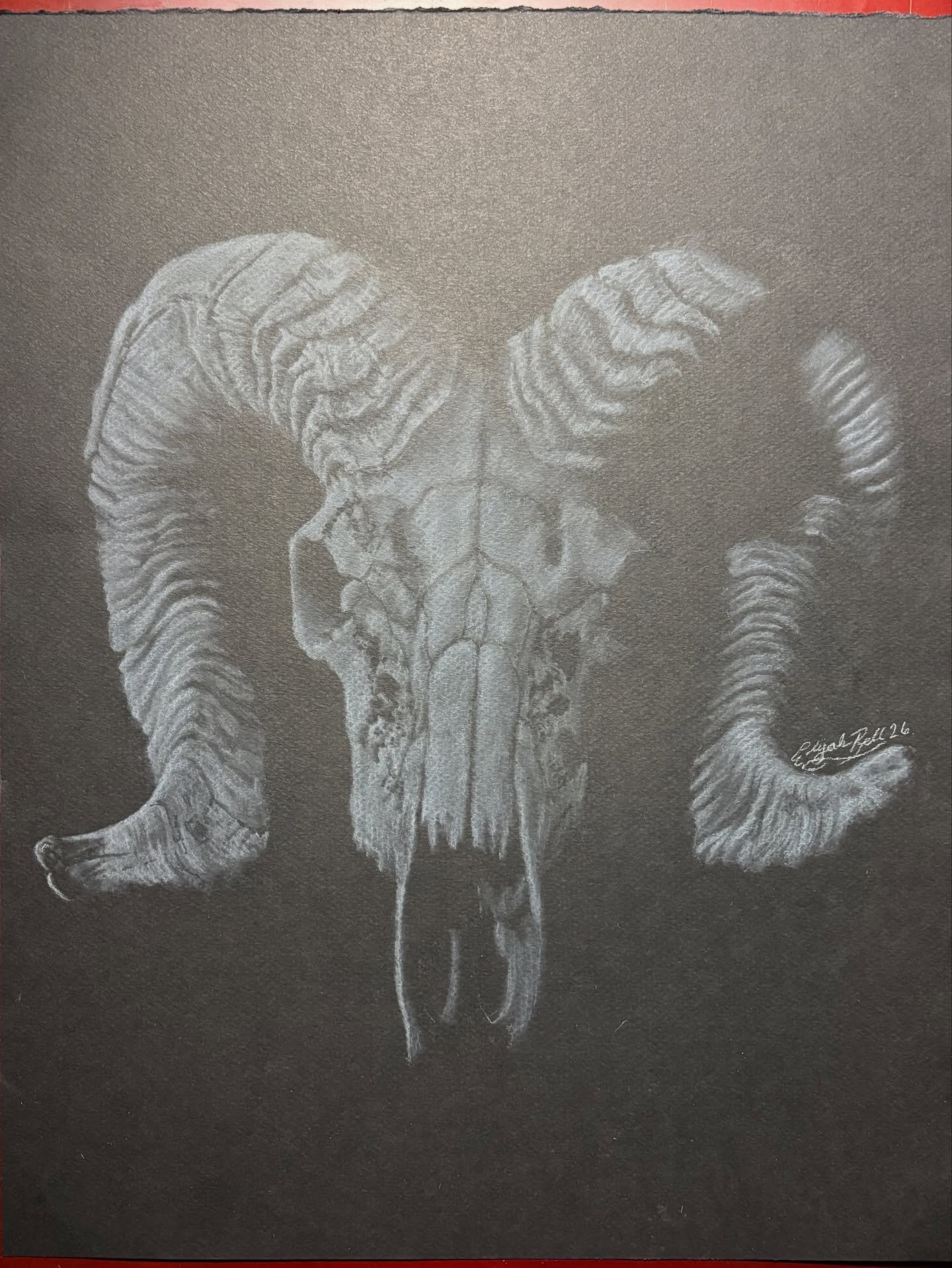 Ram Skull 10.5&rdquo;x16&rdquo;

Been struggling to find any motivation to work on any of my original pieces. I&rsquo;ve been intimidated by the concepts and subjects i created but i&rsquo;ve also been absorbed in work and volleyball, So i scrapped t