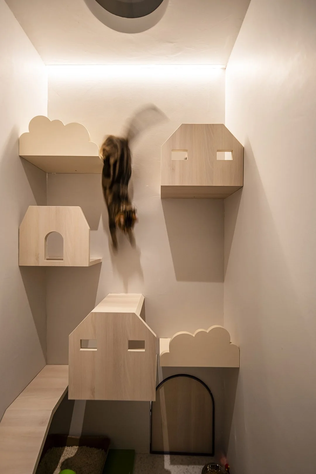 A cat jumping in a small, modern, minimalist room with beige geometric shelves on the walls, some shaped like houses and clouds, with a round ceiling fixture and a lit strip light along the ceiling edge.