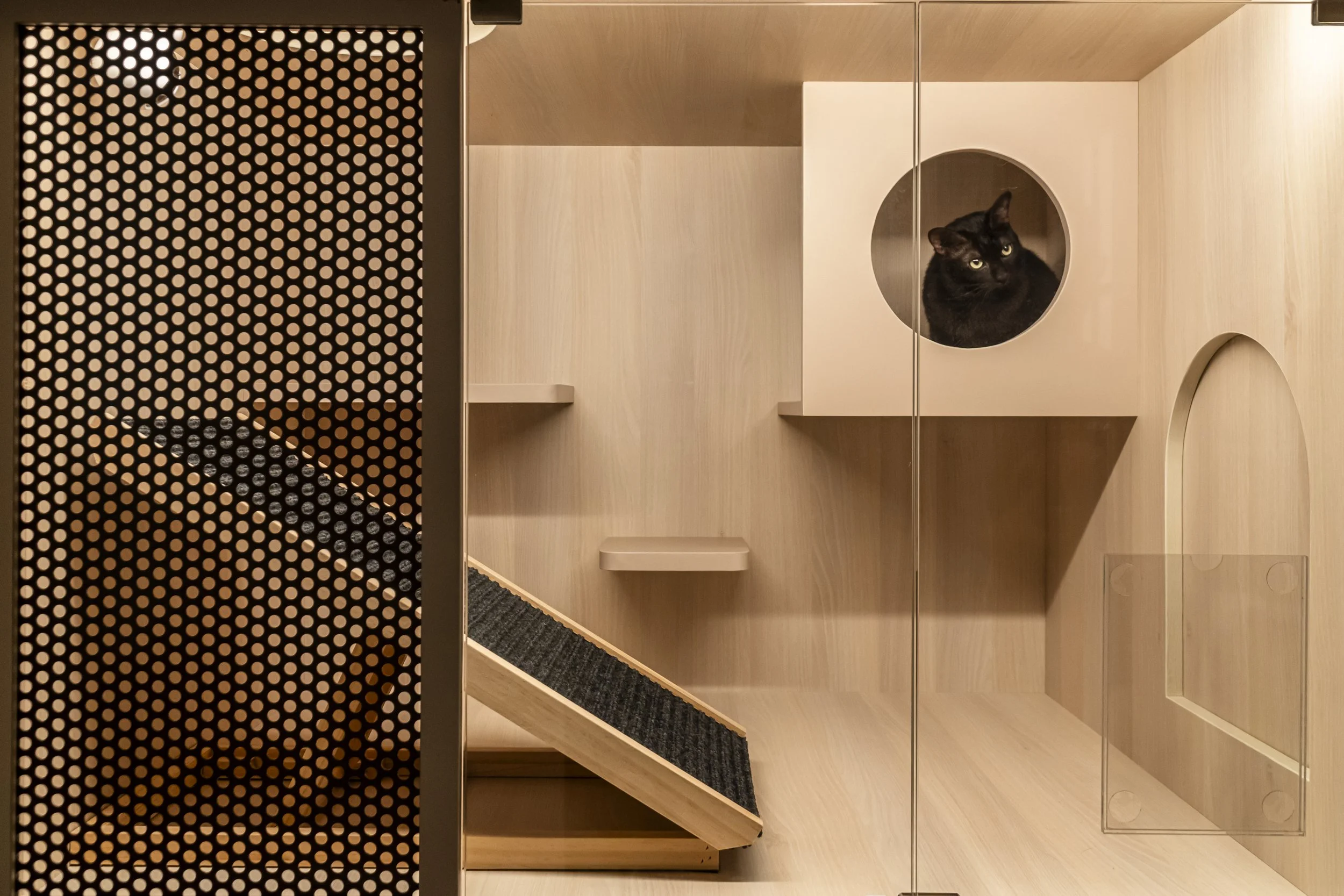 A black cat sitting inside a white enclosed cat tree with multiple platforms and a circular opening, in a room with light wood walls and ceiling.