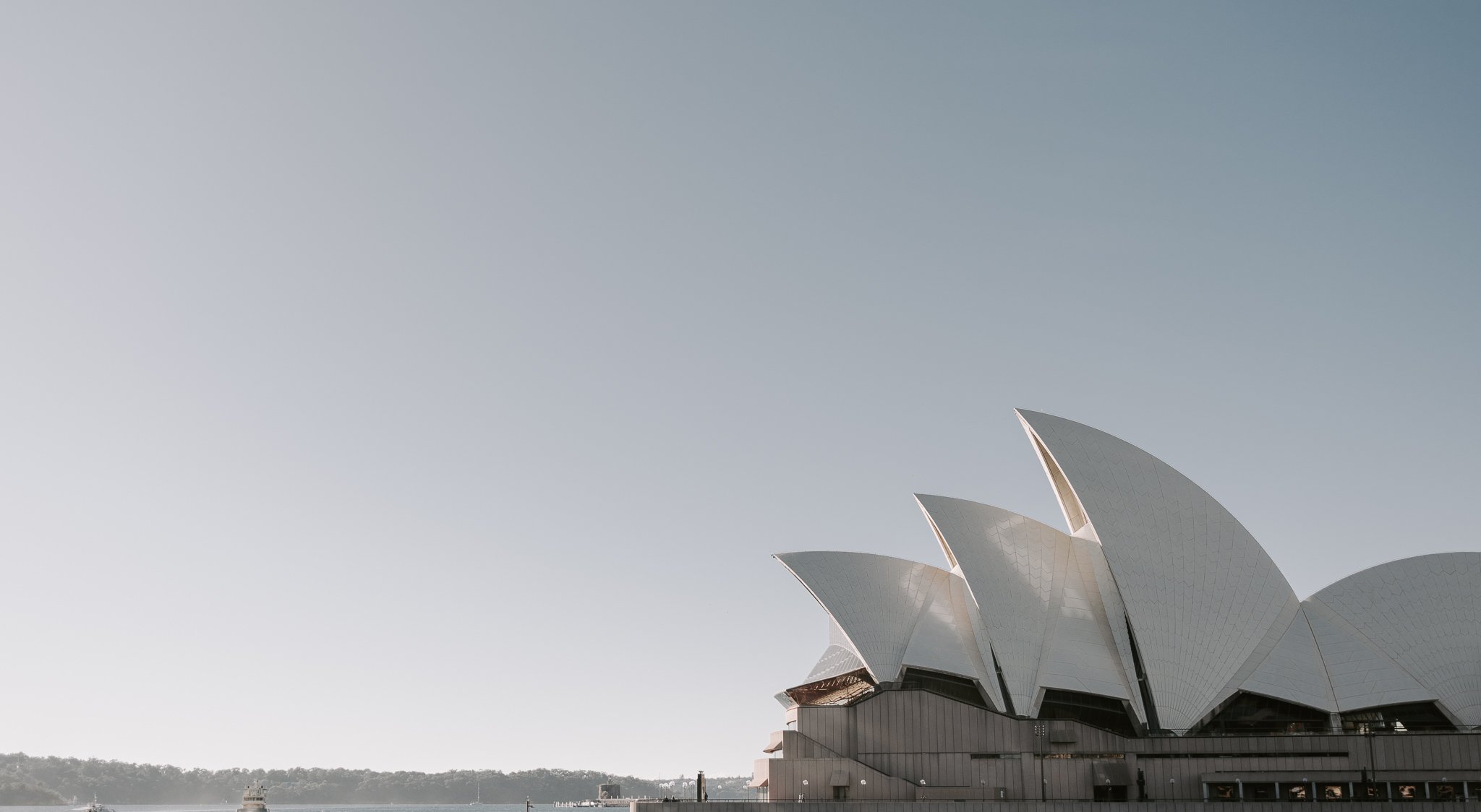 SYDNEY - Vivid + Taronga Zoo