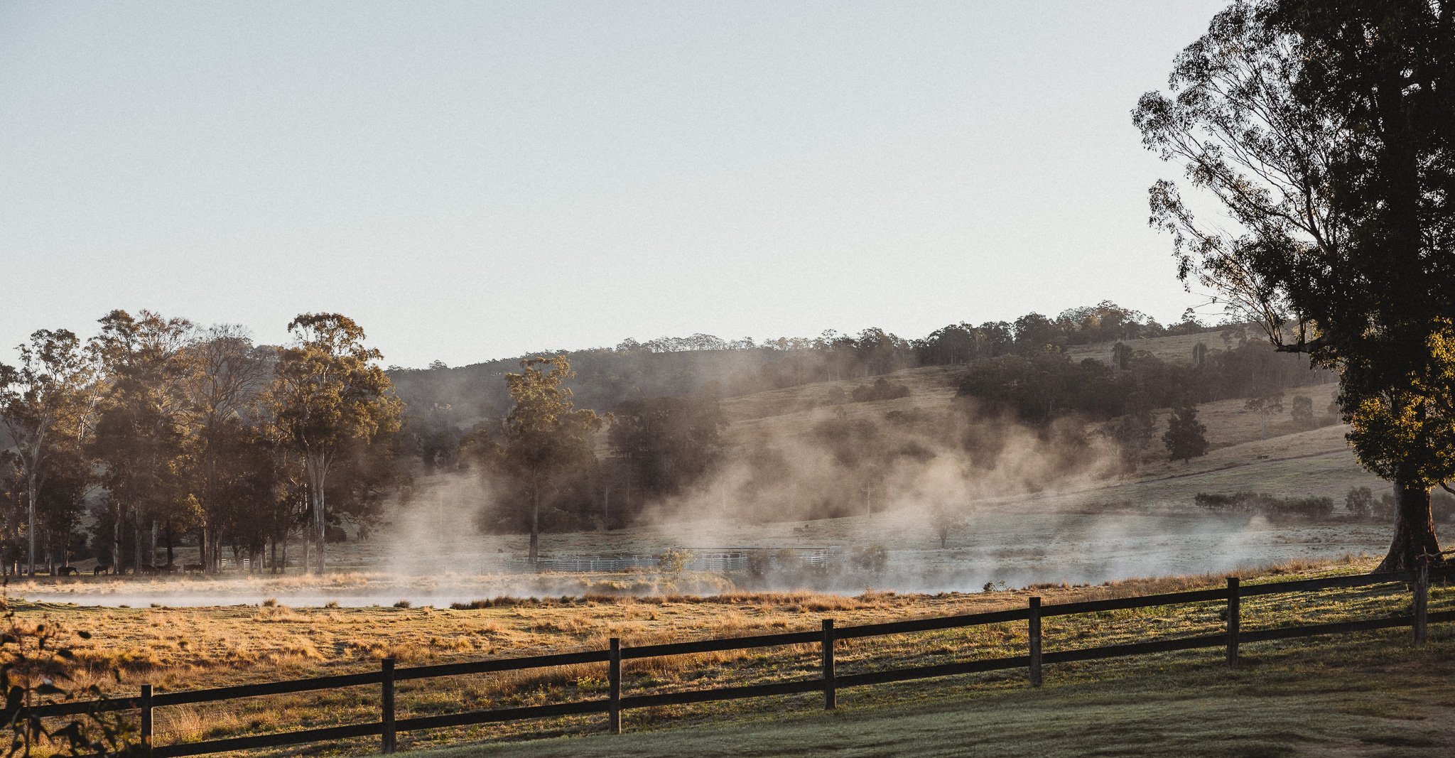 Rising Fog