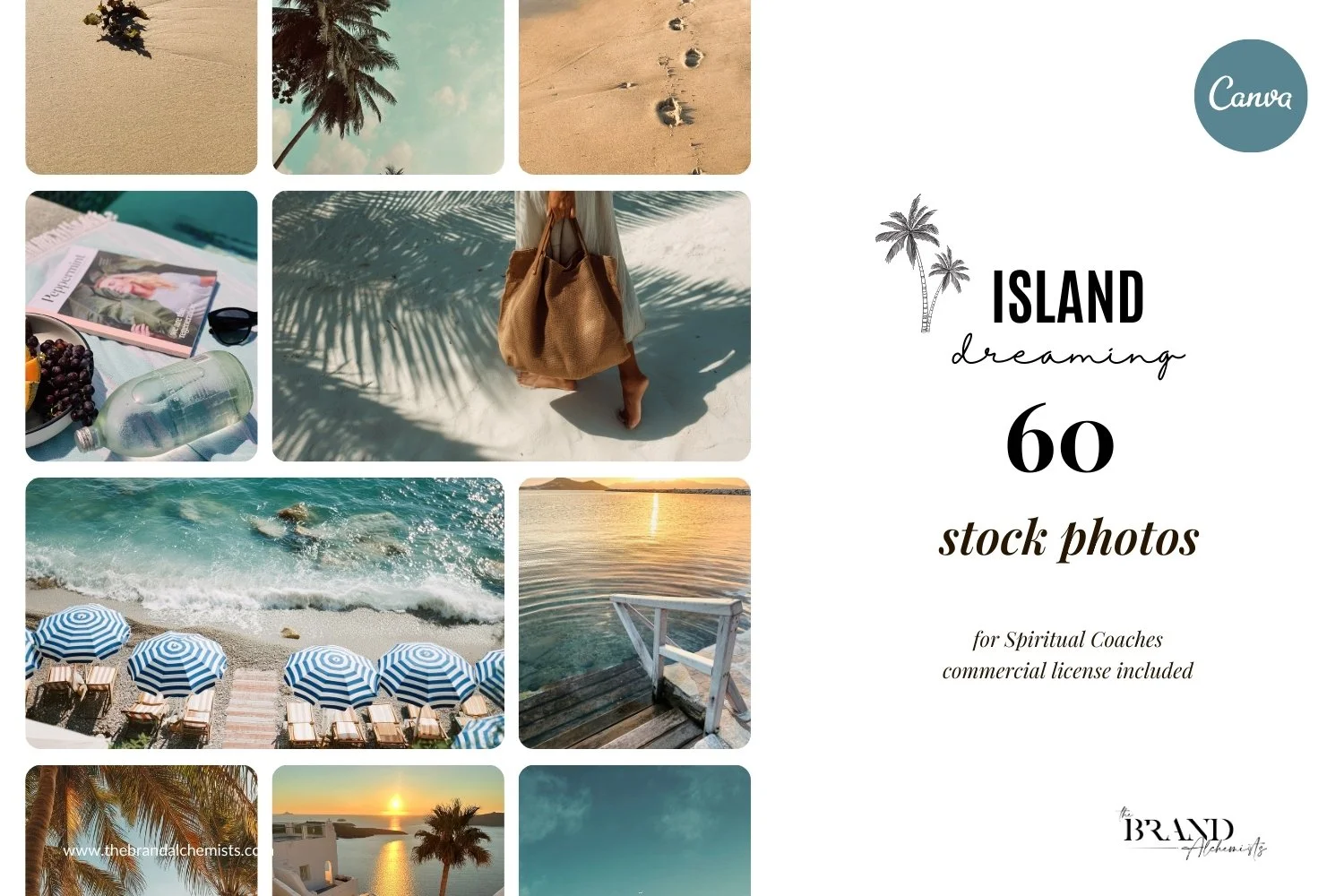 island Dreaming Stock Image Pack - Listing Image-1.jpg