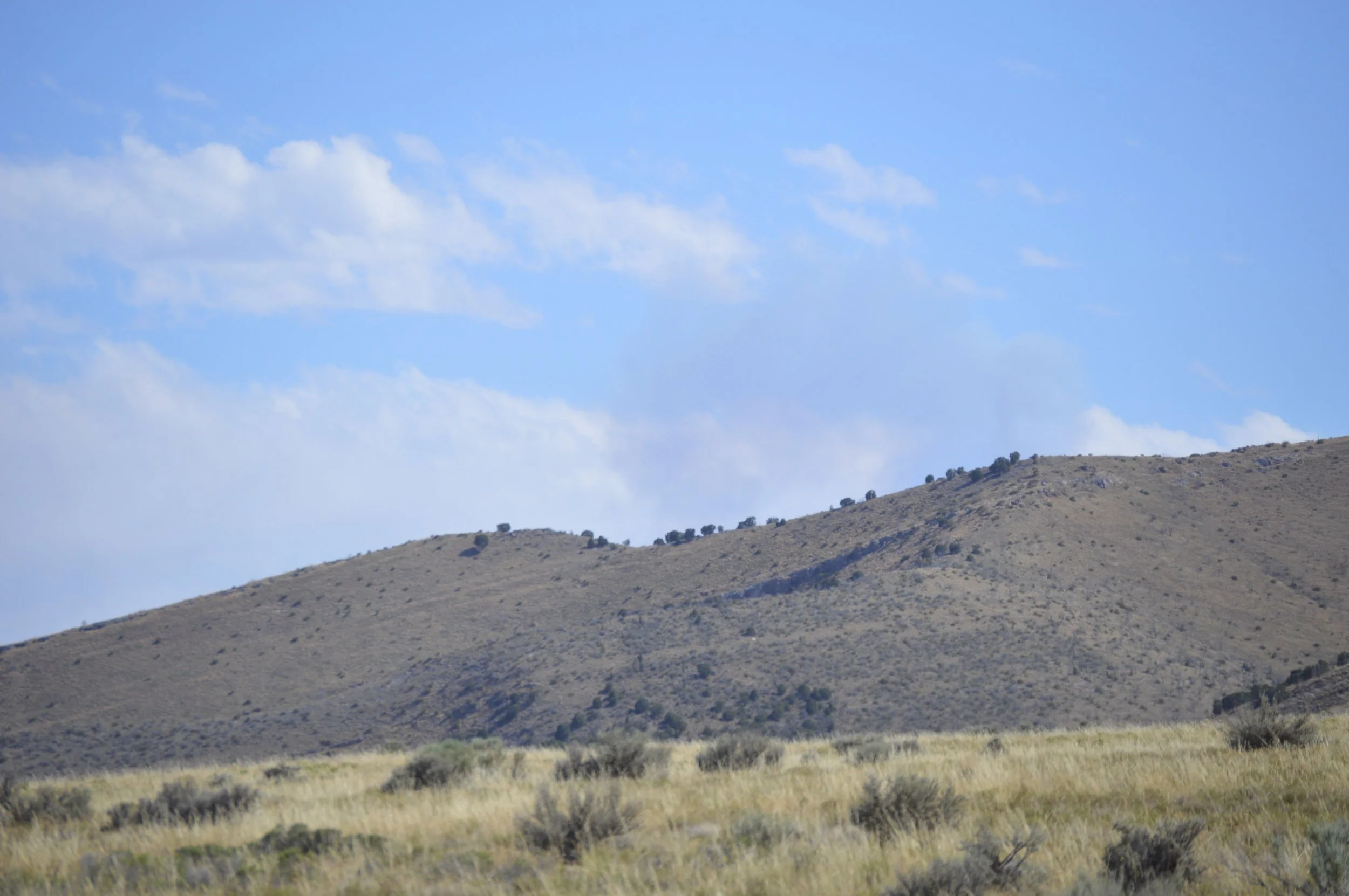 DSC_0040.JPG
