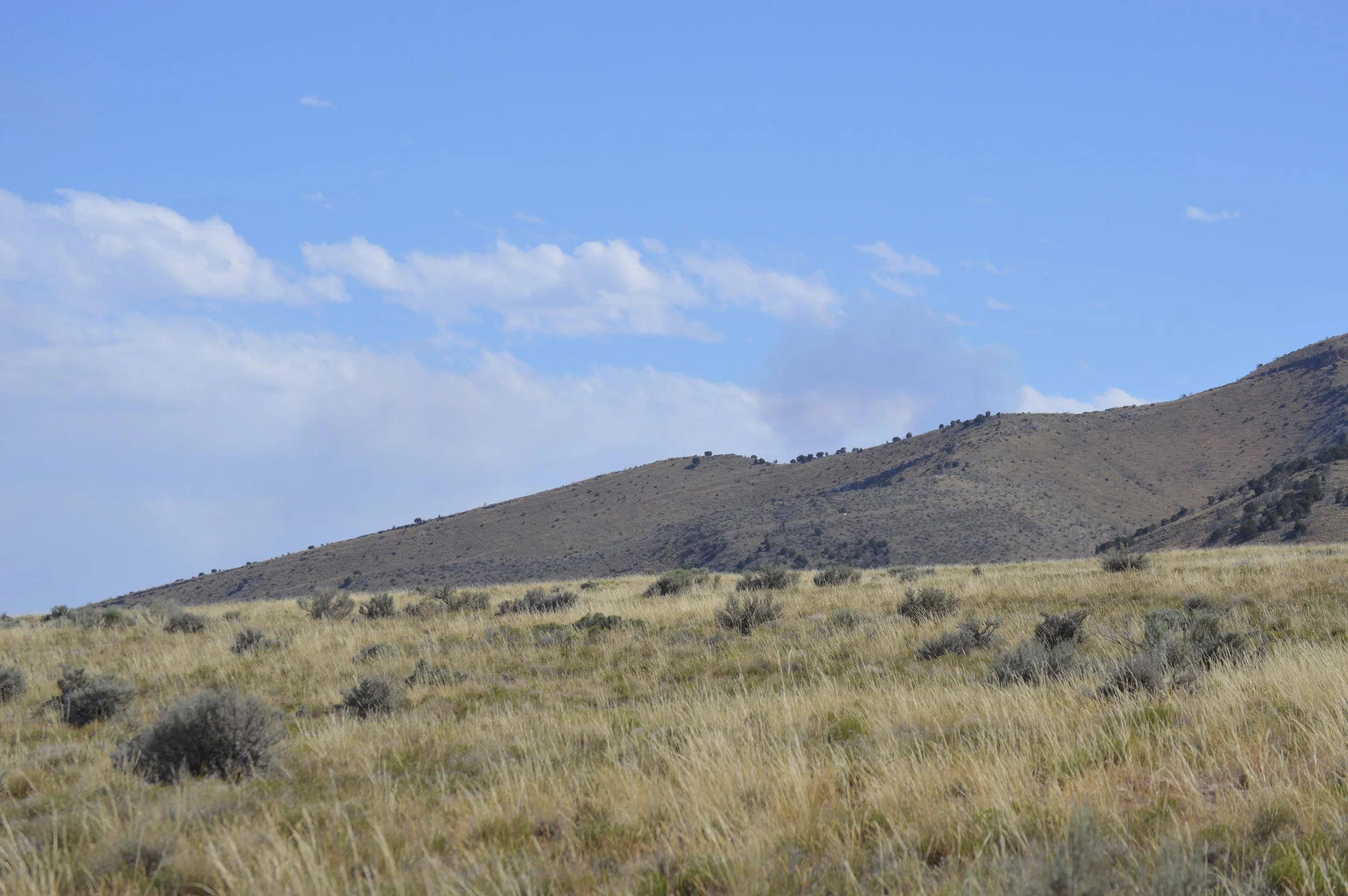 DSC_0041.JPG