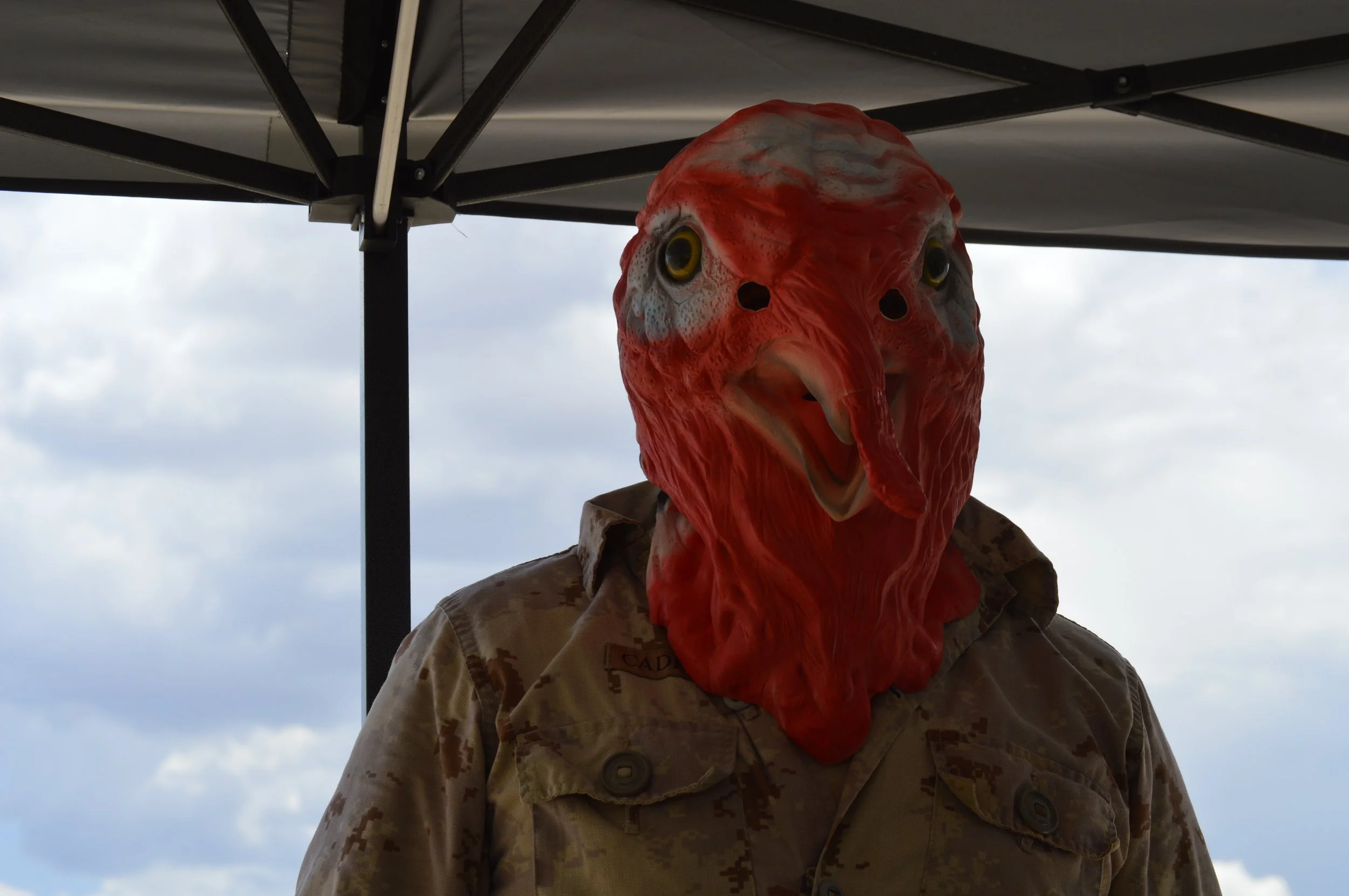 DSC_0154.JPG