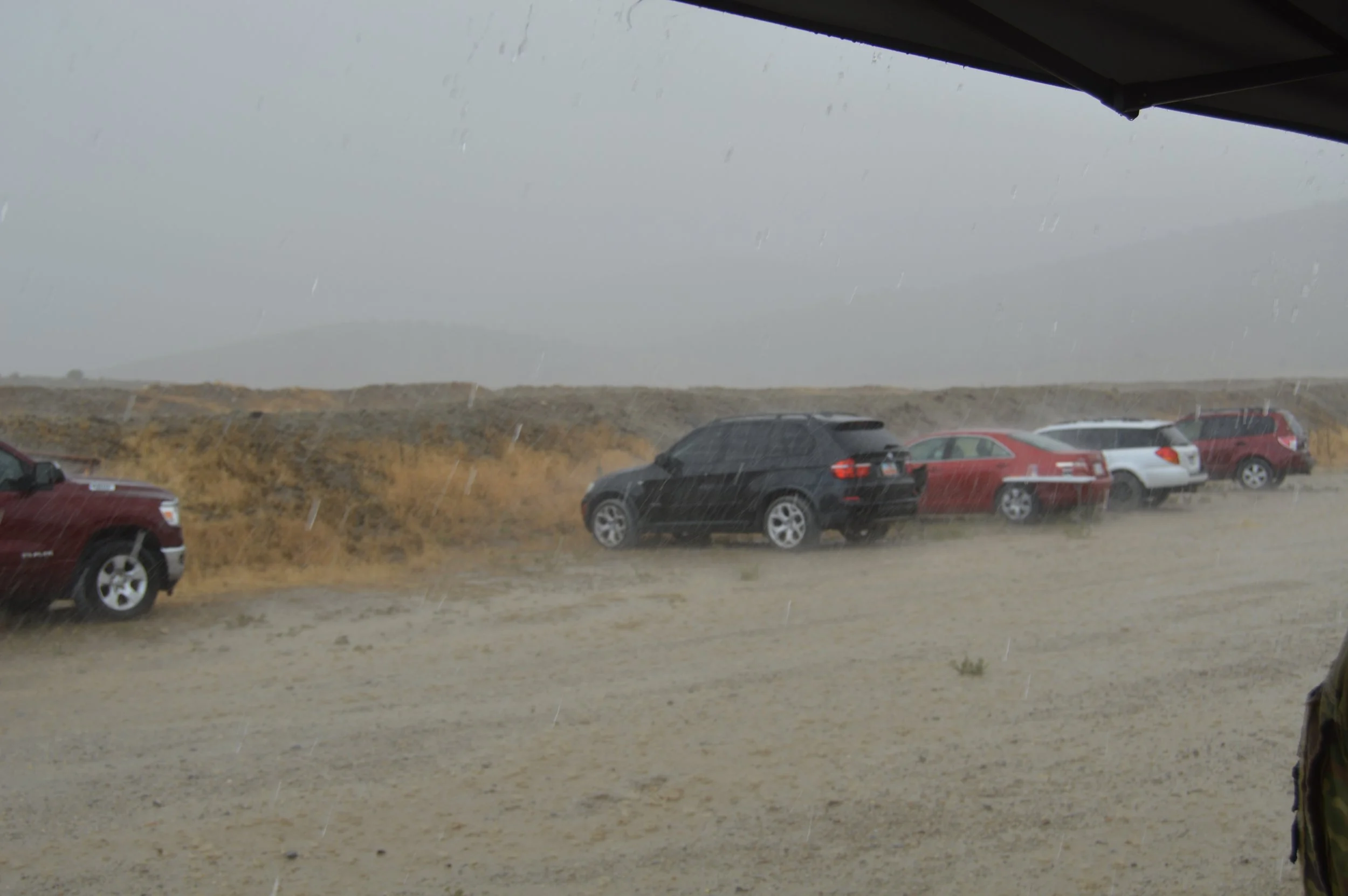 DSC_0242.JPG