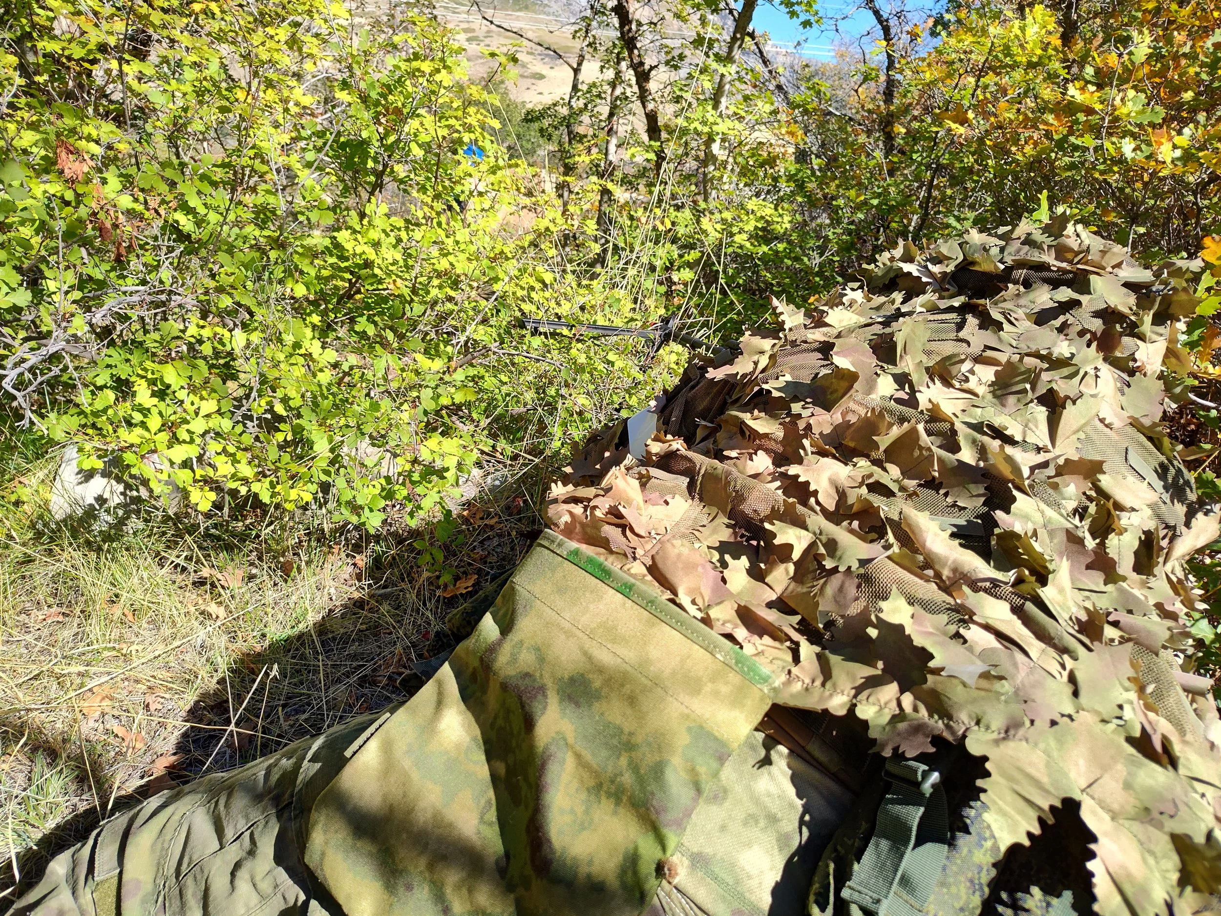 IMG_20261017_121241286_HDR.jpg