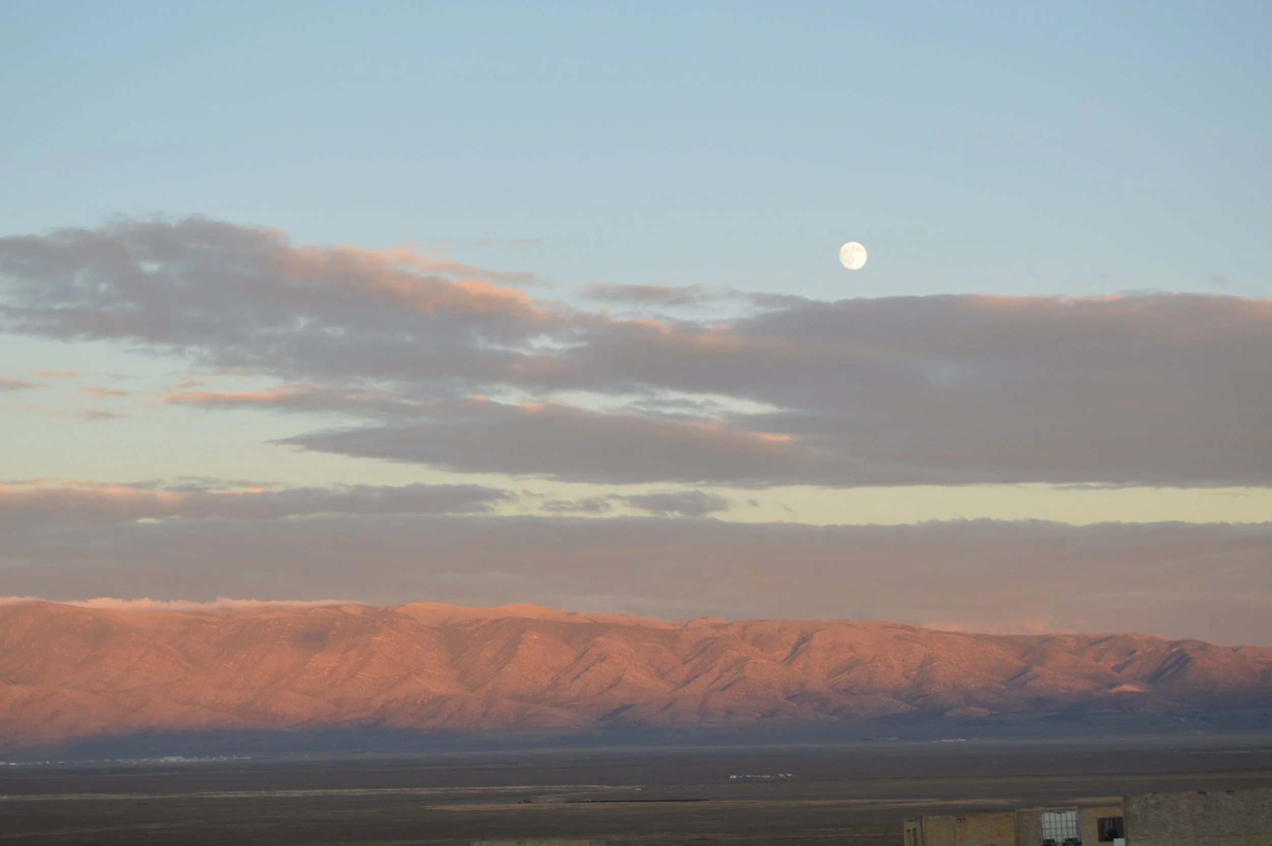 DSC_0142.JPG