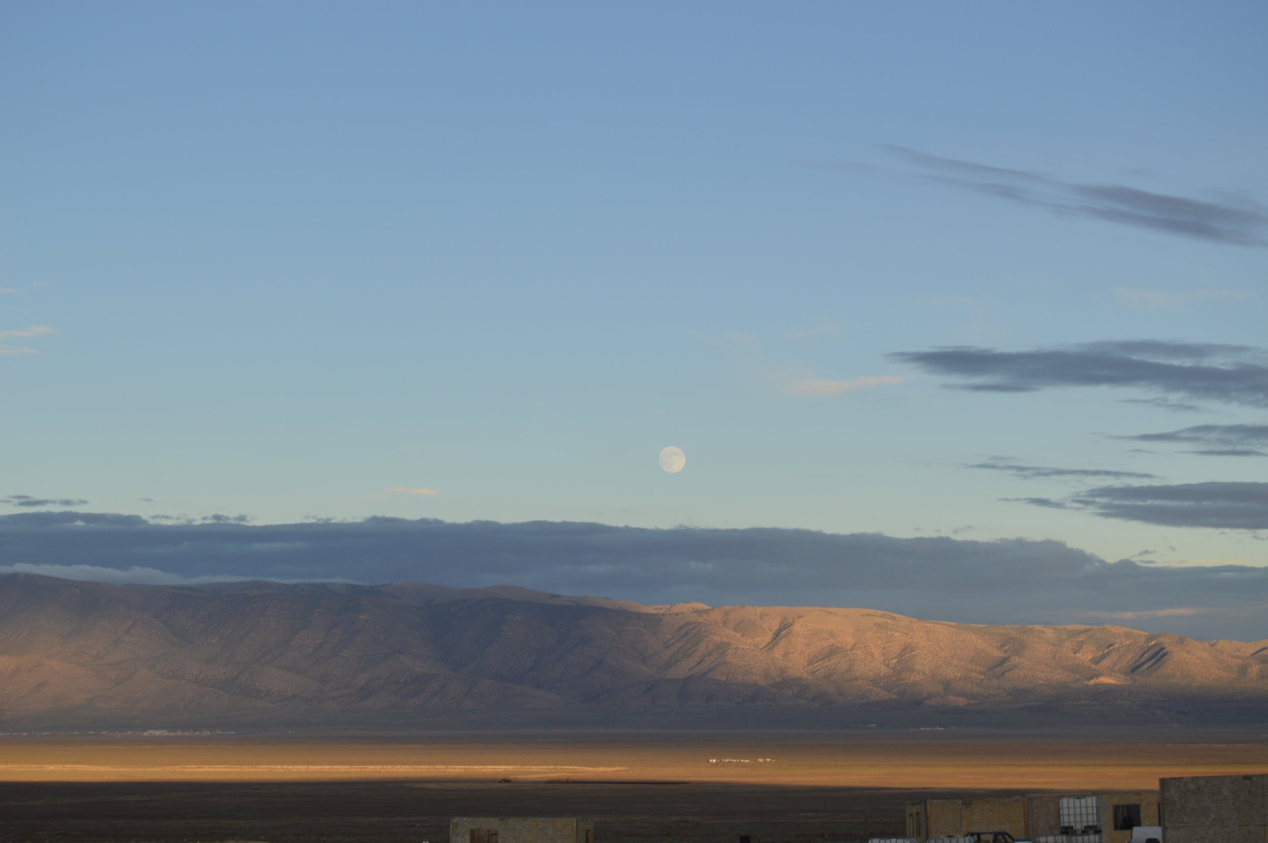 DSC_0117.JPG
