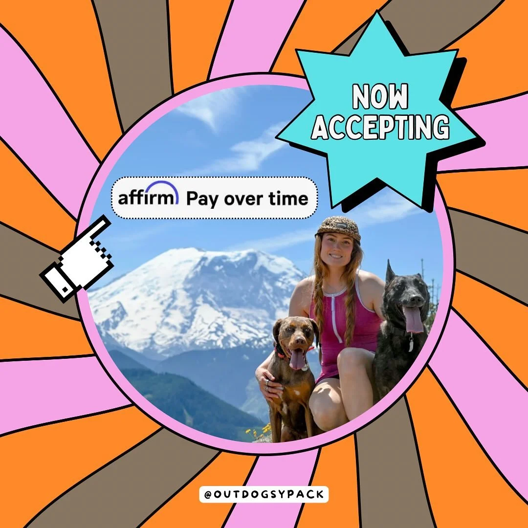 Book dog training now, pay later!!!
If you&rsquo;ve wanted to book a Board + Train with me but it hasn&rsquo;t been in your budget, now is your chance to book with a payment plan 🩷