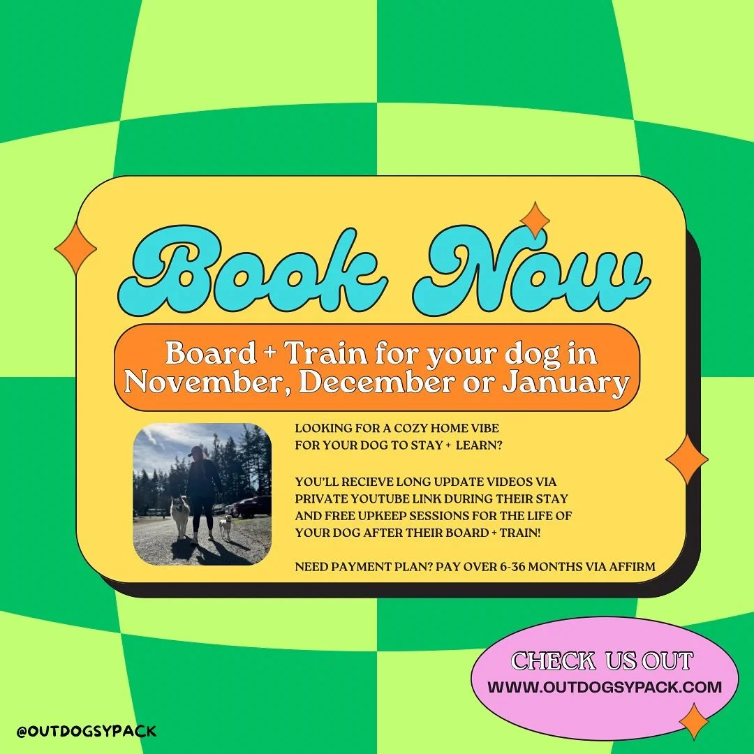 Let&rsquo;s get to training✨