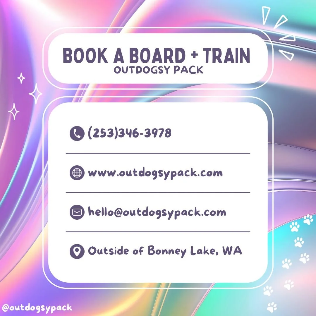 Newwwwwwww business line # ☎️🕺🏽🪩
Let me help train your dog before summer!
Currently booking for April + May 🙌🏼