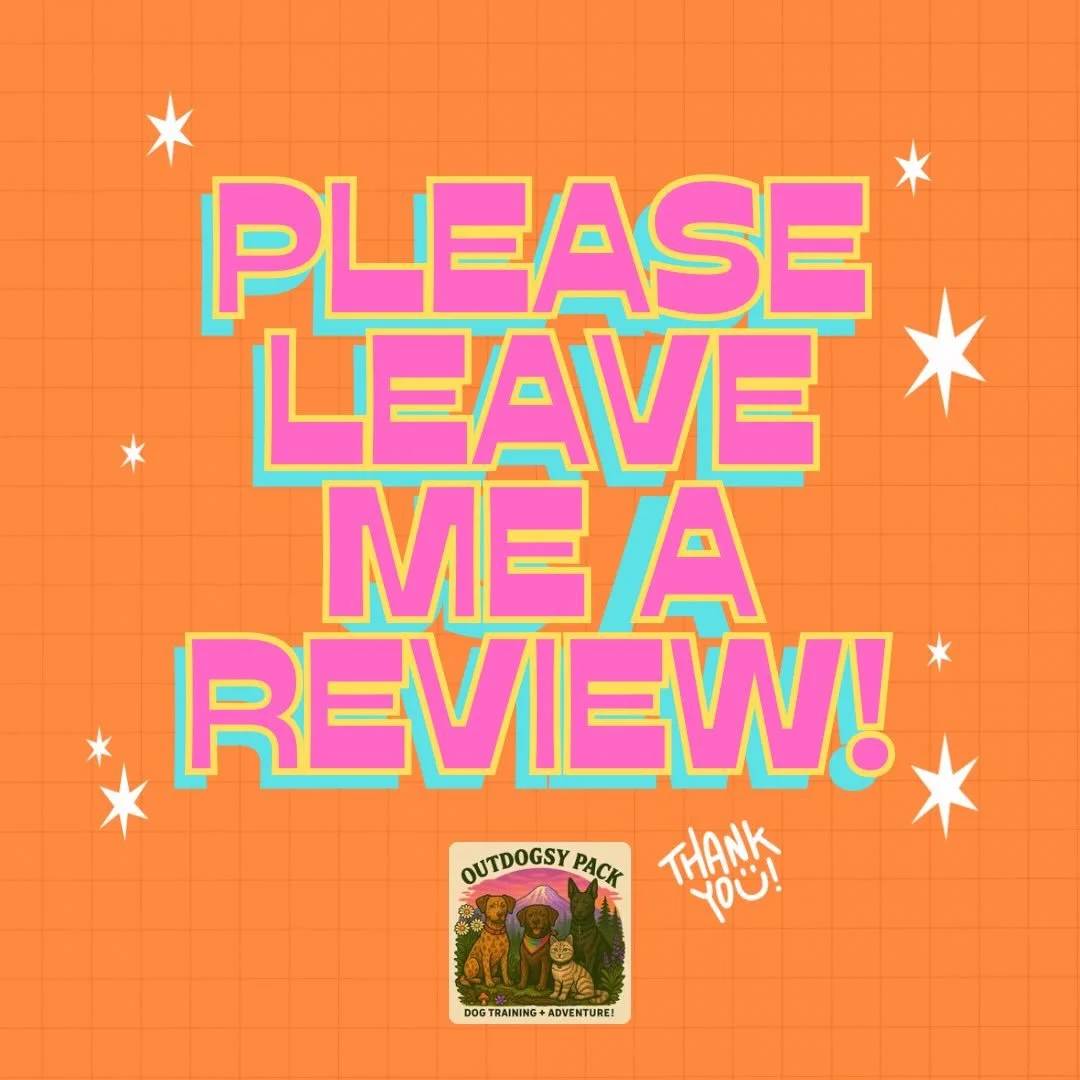 Past training clients: Could you pretty pretty please do me a big favor and leave me a Google review?!?!

I would greatly appreciate it!!!

Thank you so much for your support and love! I&rsquo;m trying my hardest to make things better and better and 