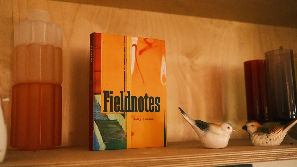 Sally's Book Image.JPG