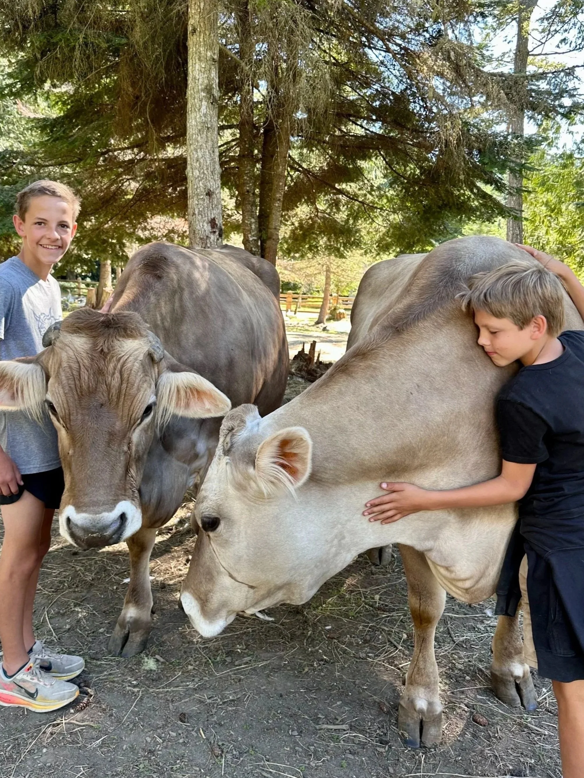 cows%2Bboys.jpg