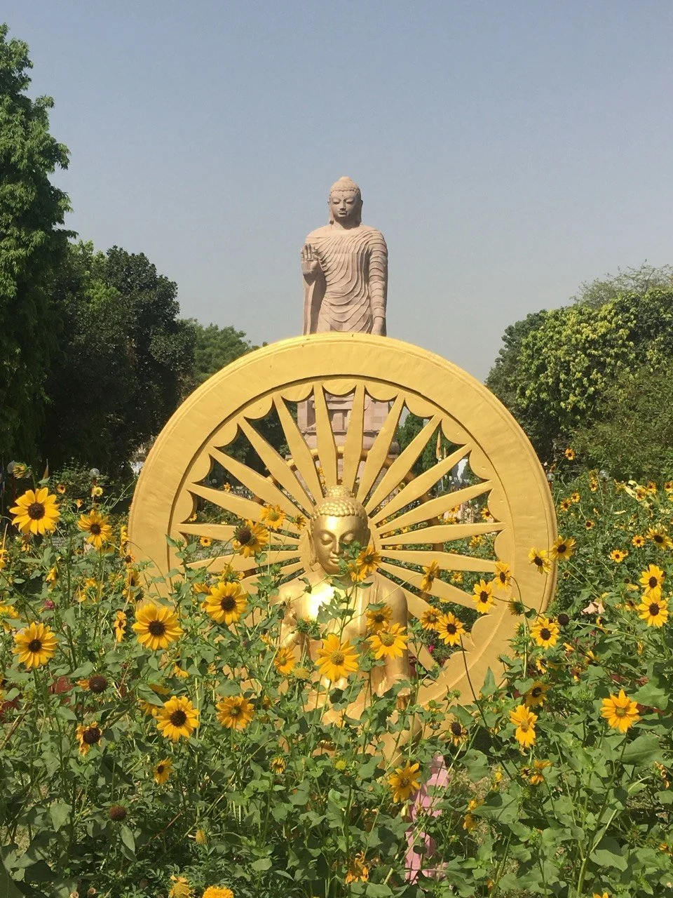 Buddha Pūrṇimā: A Mirror for the Human Heart