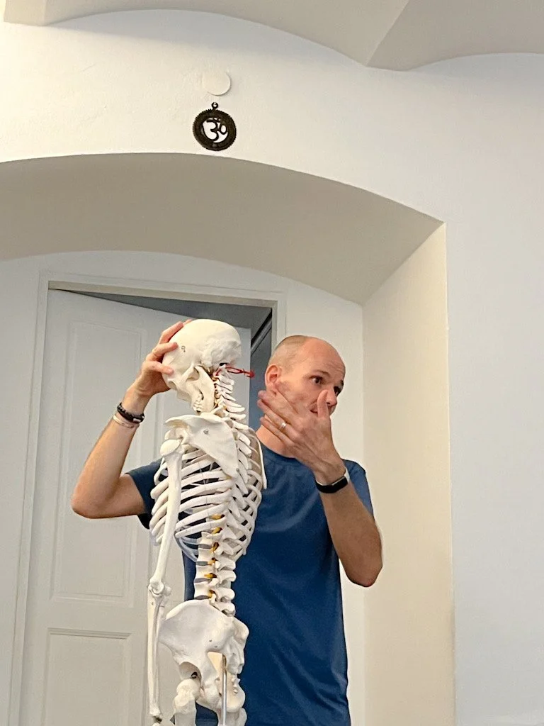 Yoga and Lower Back Pain: What Anatomy can Teach us About Movement