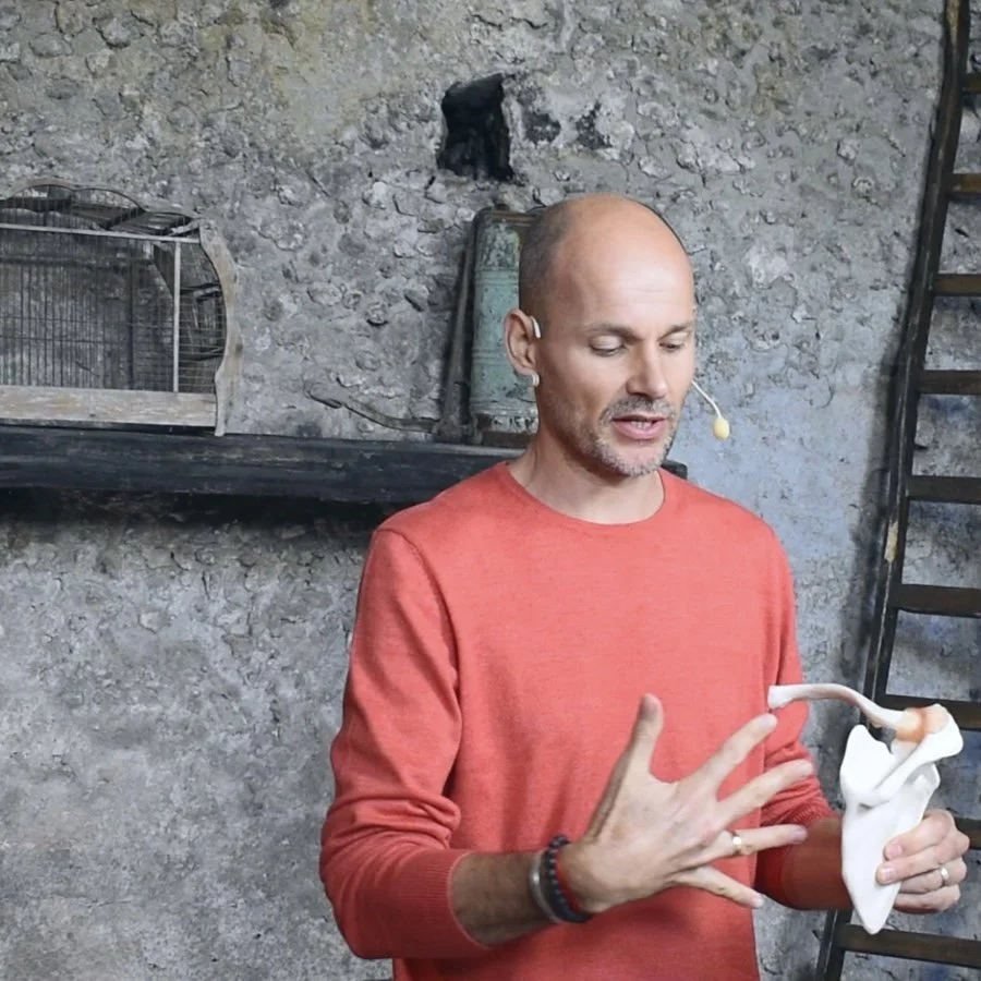 Dr Rob of More than Anatomy