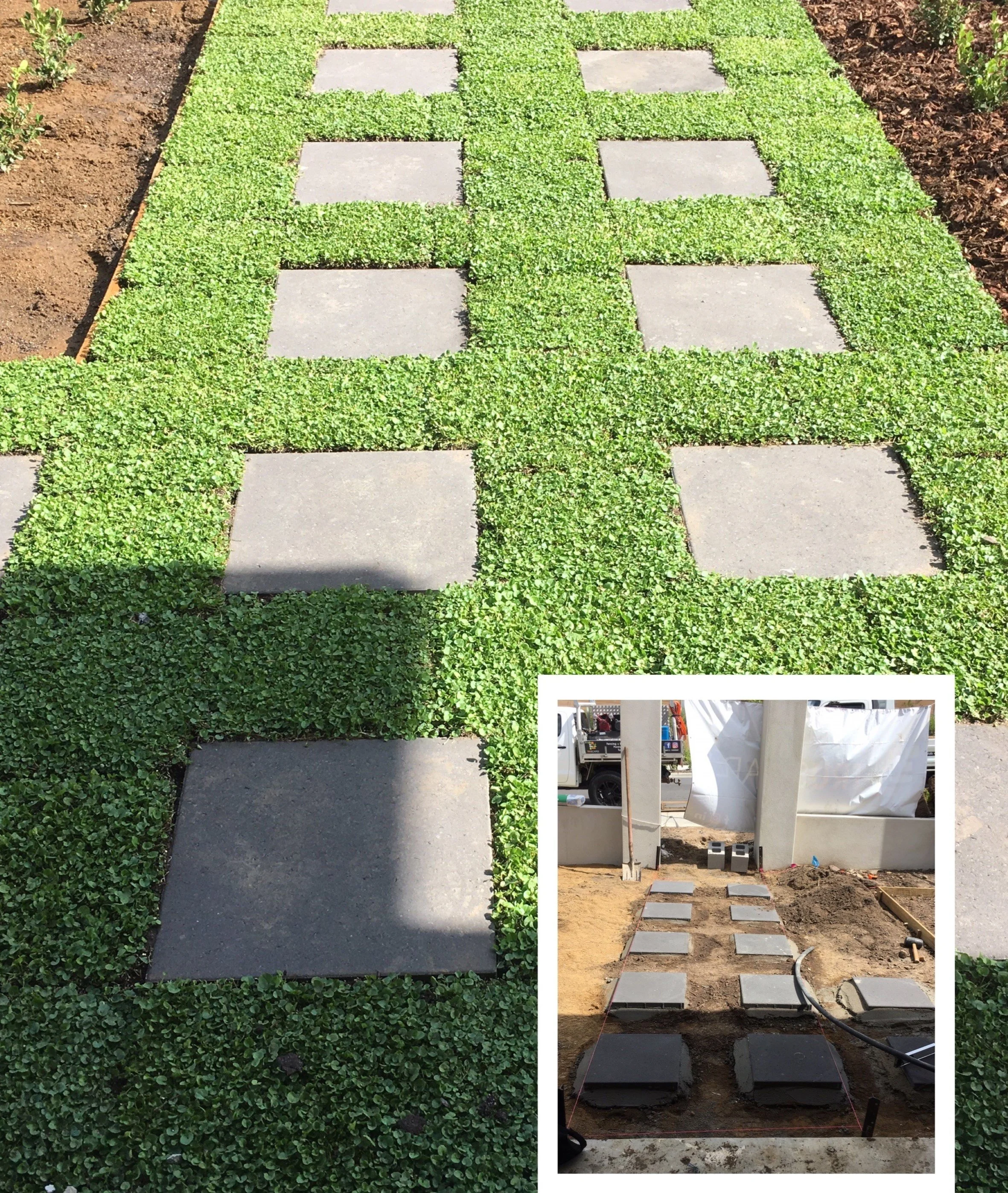 Plant Tiles — The Mangrove Tree Nursery