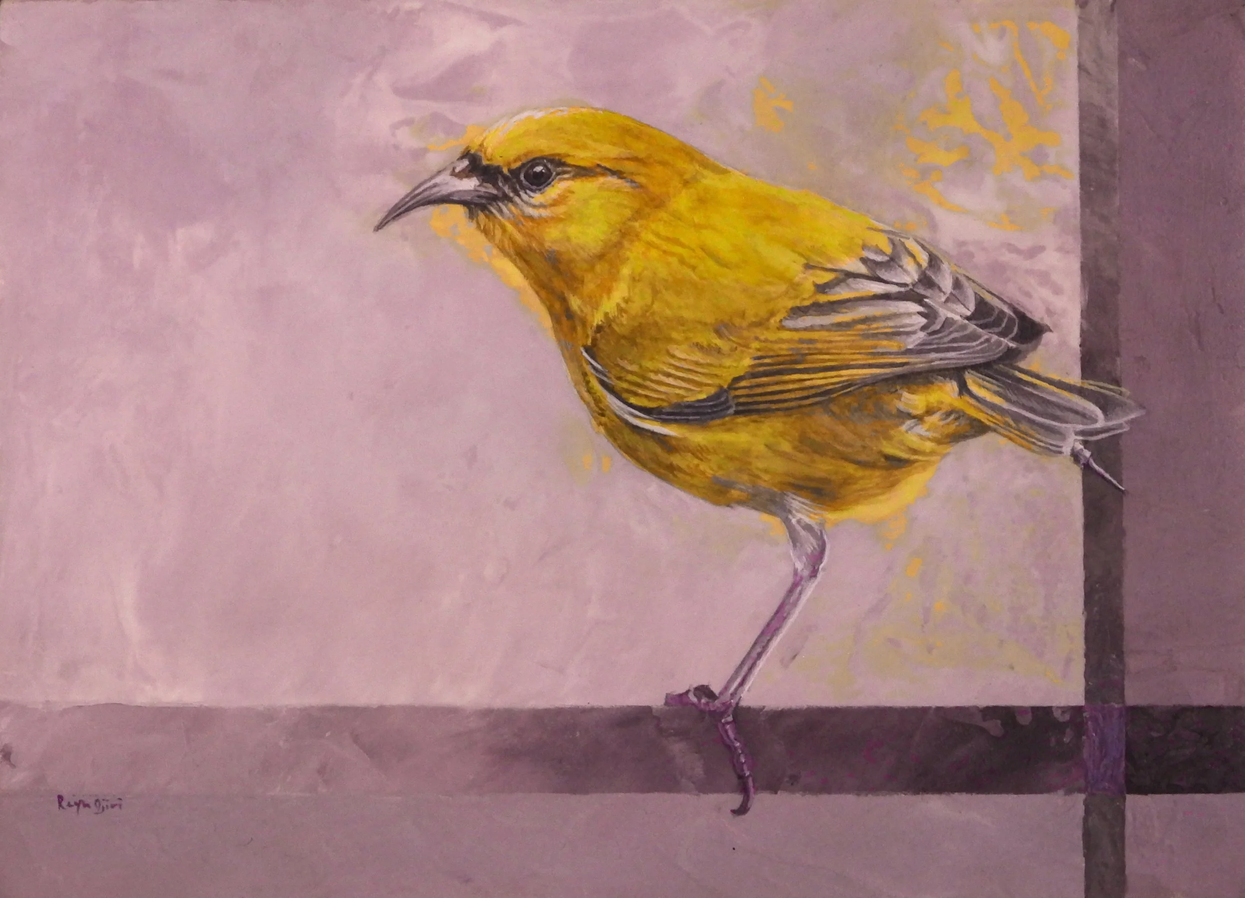 ʻAmakihi
5"x7"
$400