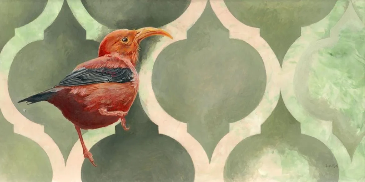 ʻIʻiwi
8"x10"
$750