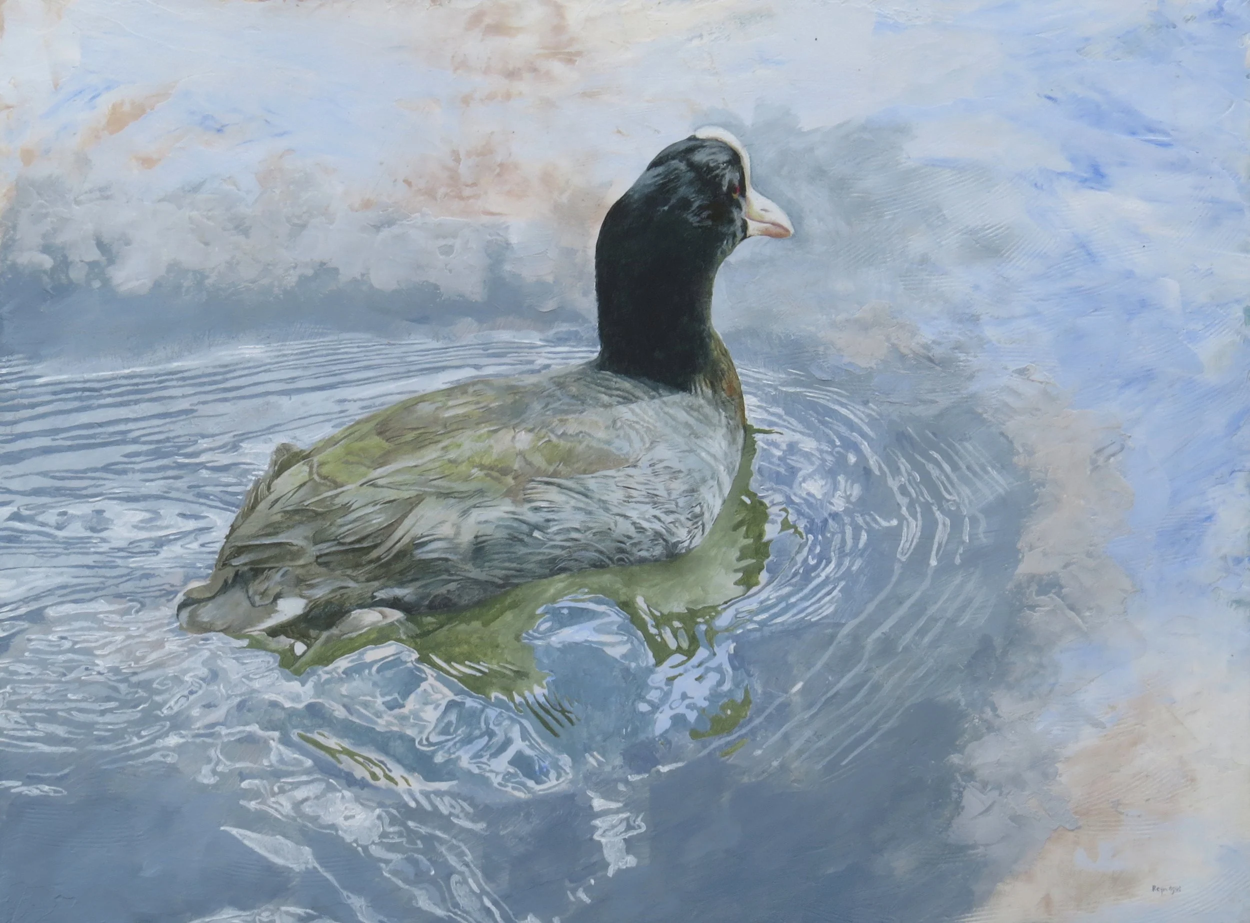 ʻAlae keʻokeʻo
12"x16"
$1,400