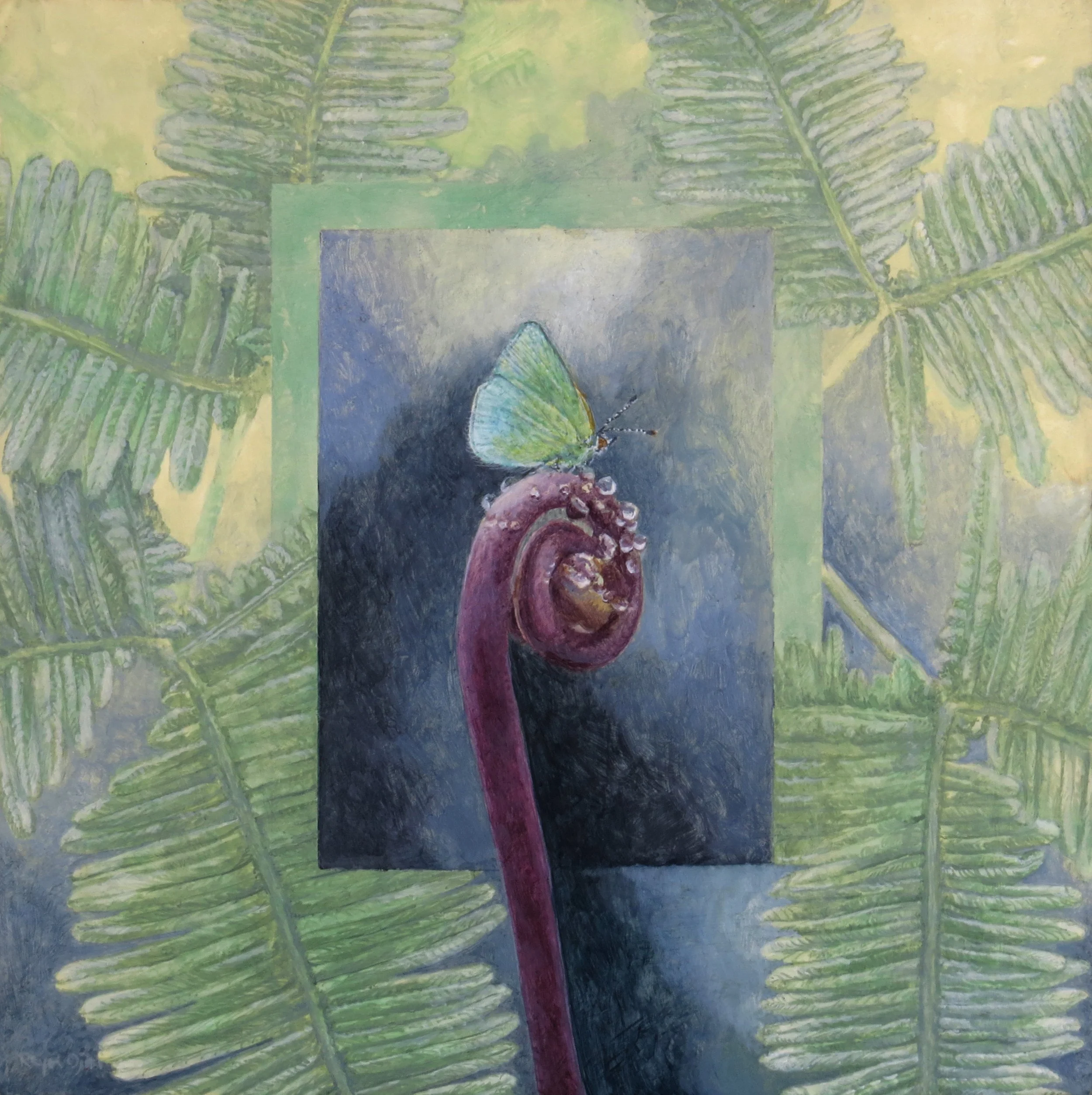 Blackburn's Butterfly and Uluhe
6"x 6"
$400