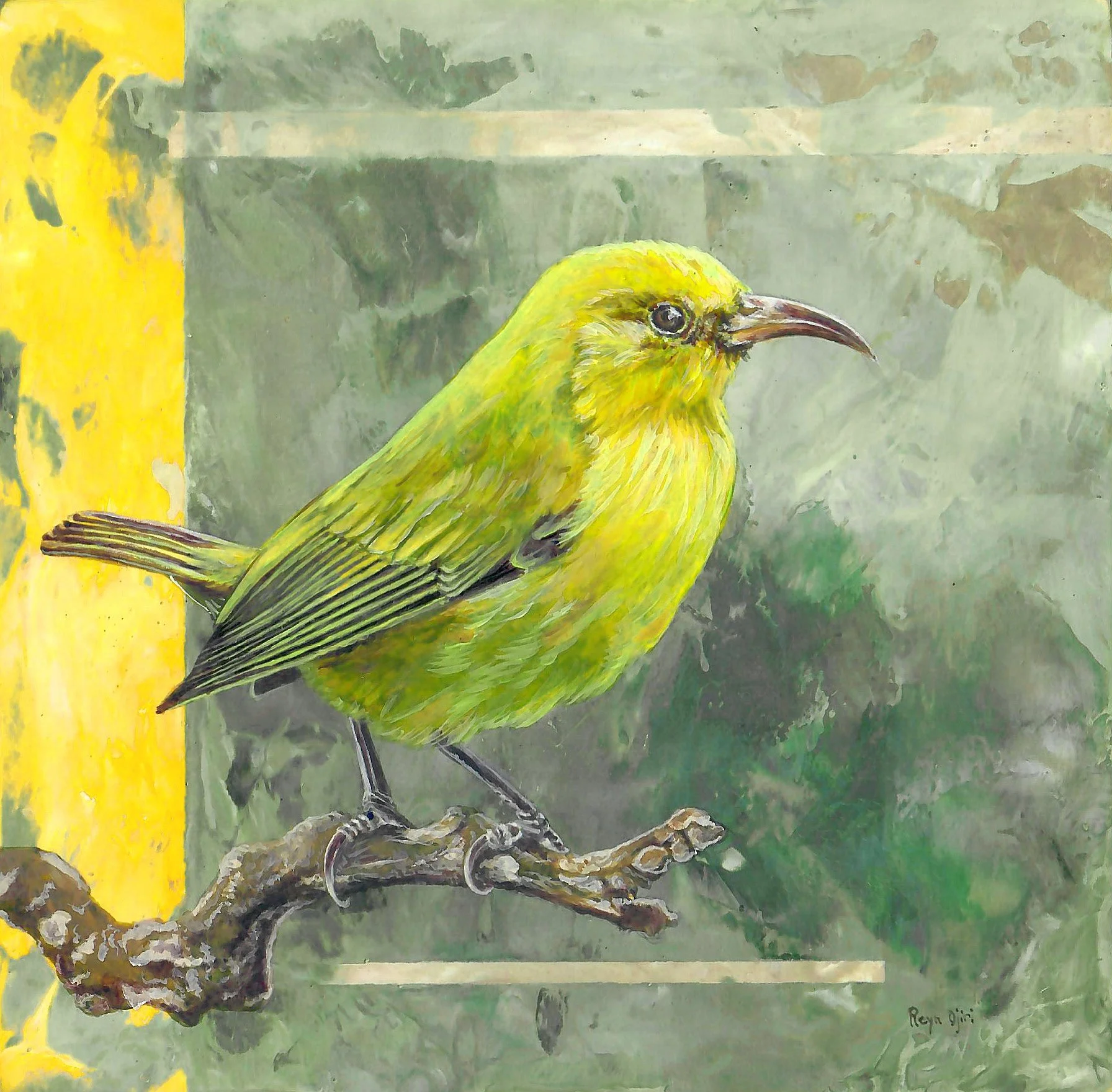 ʻAmakihi
6"x6"
$400