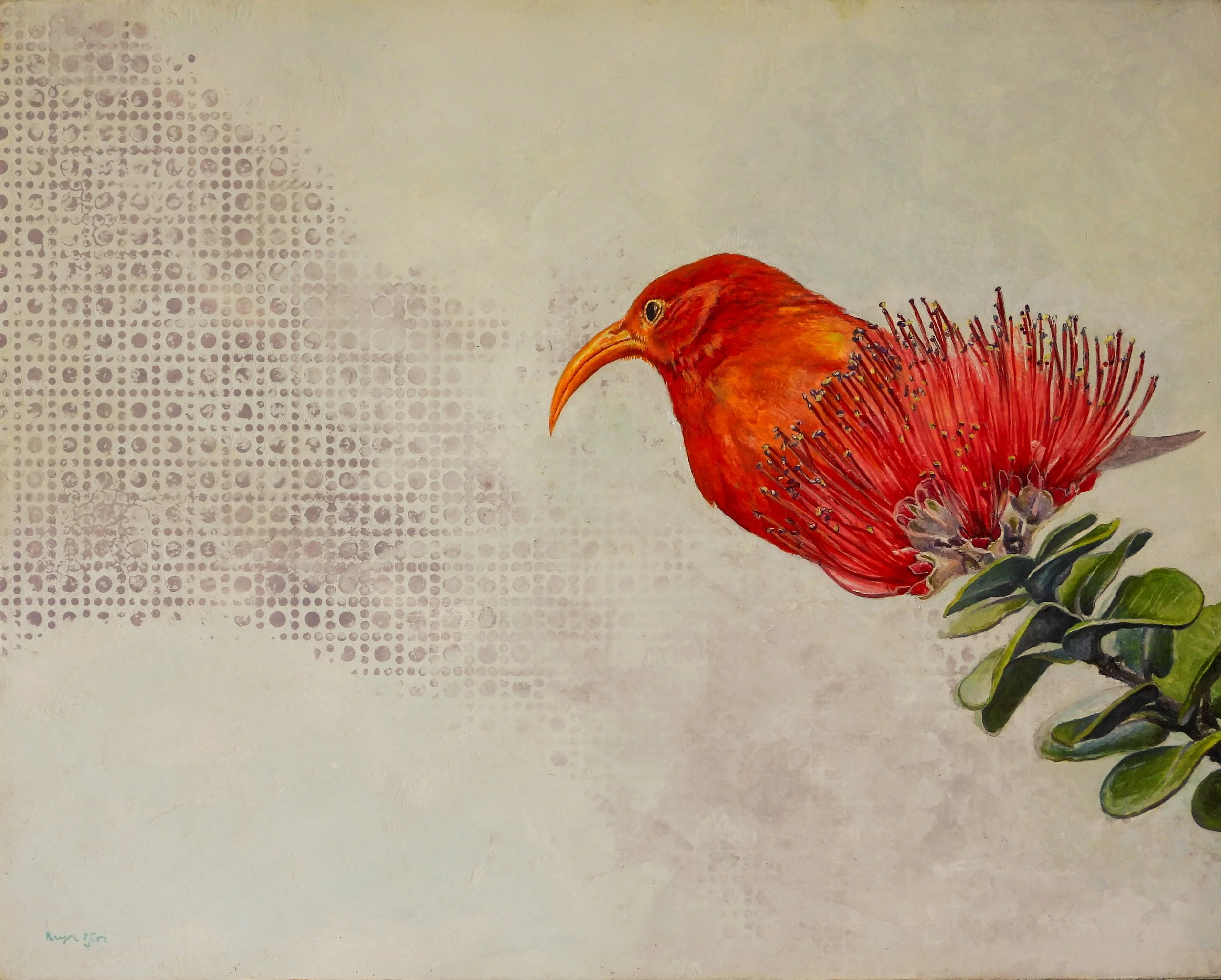 ʻIʻiwi
8"x10"
$750