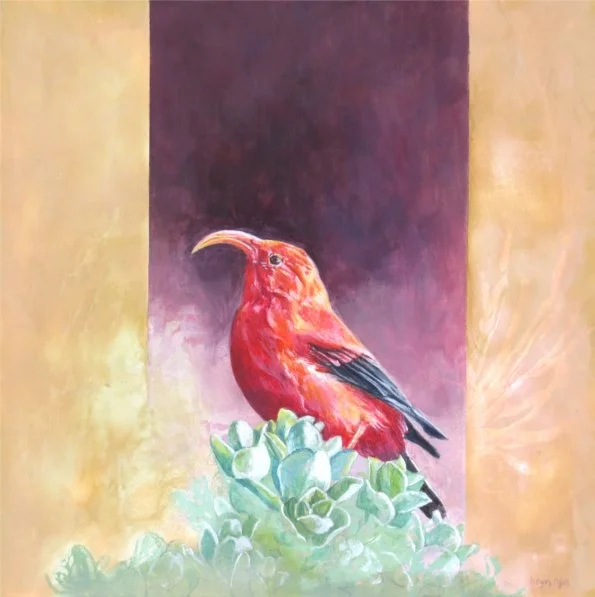 Iiwi in the Middle.jpg