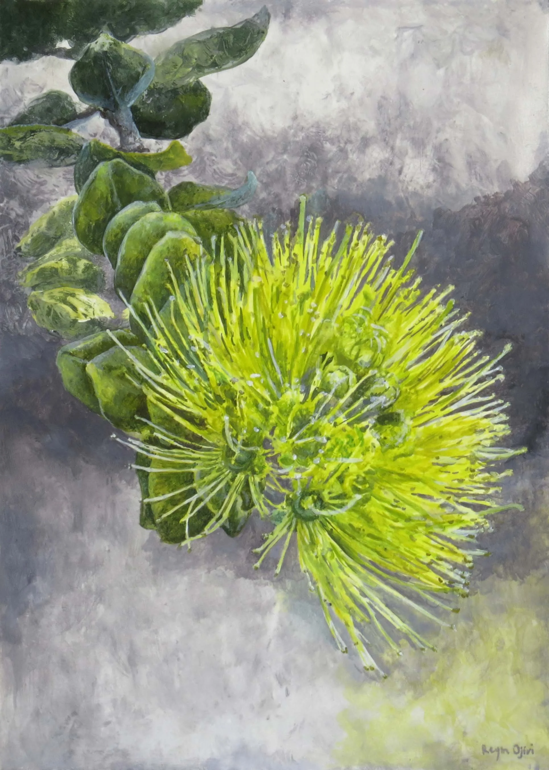 Lehua Blossom
5"x 7"
$350